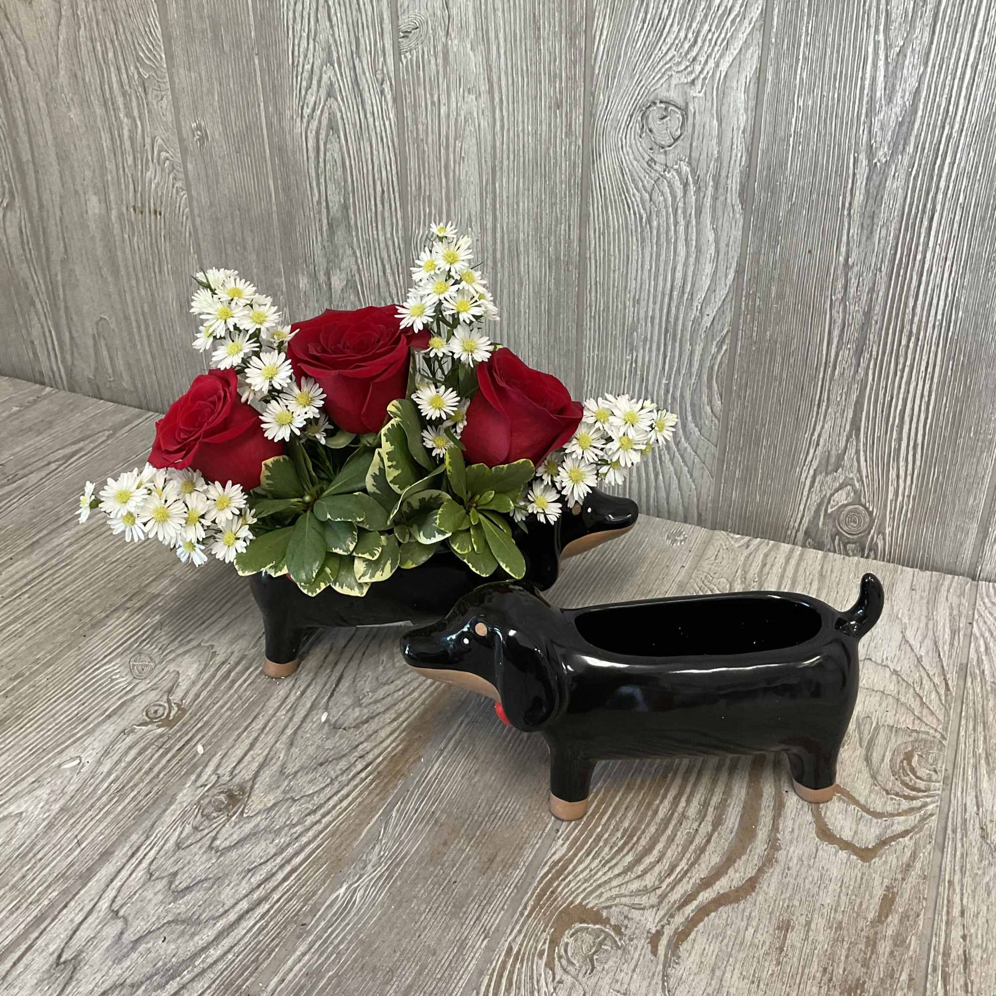Red roses and white daisies arranged in a black dog-shaped planter.