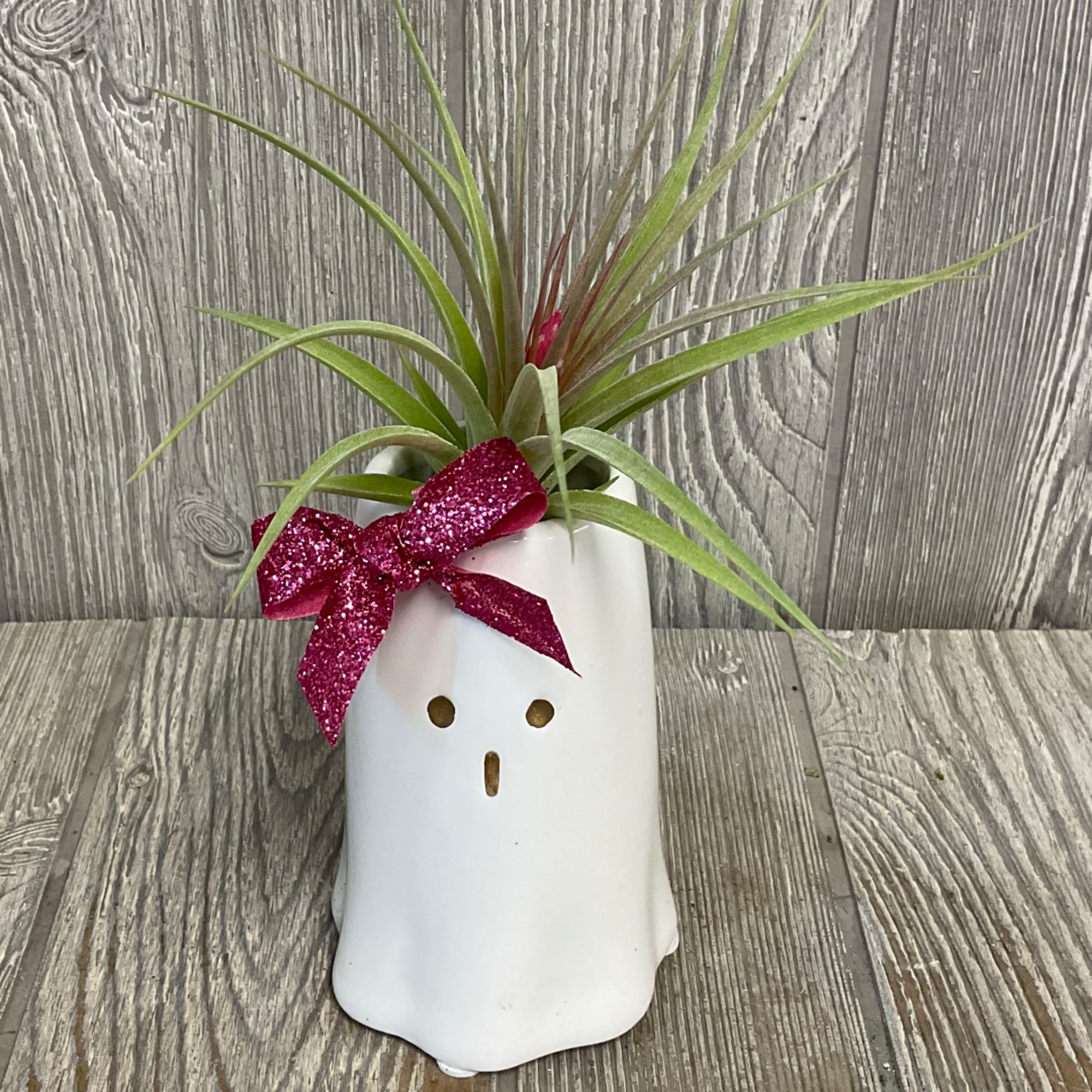 Air plant in a white ghost-shaped pot with a pink glitter bow