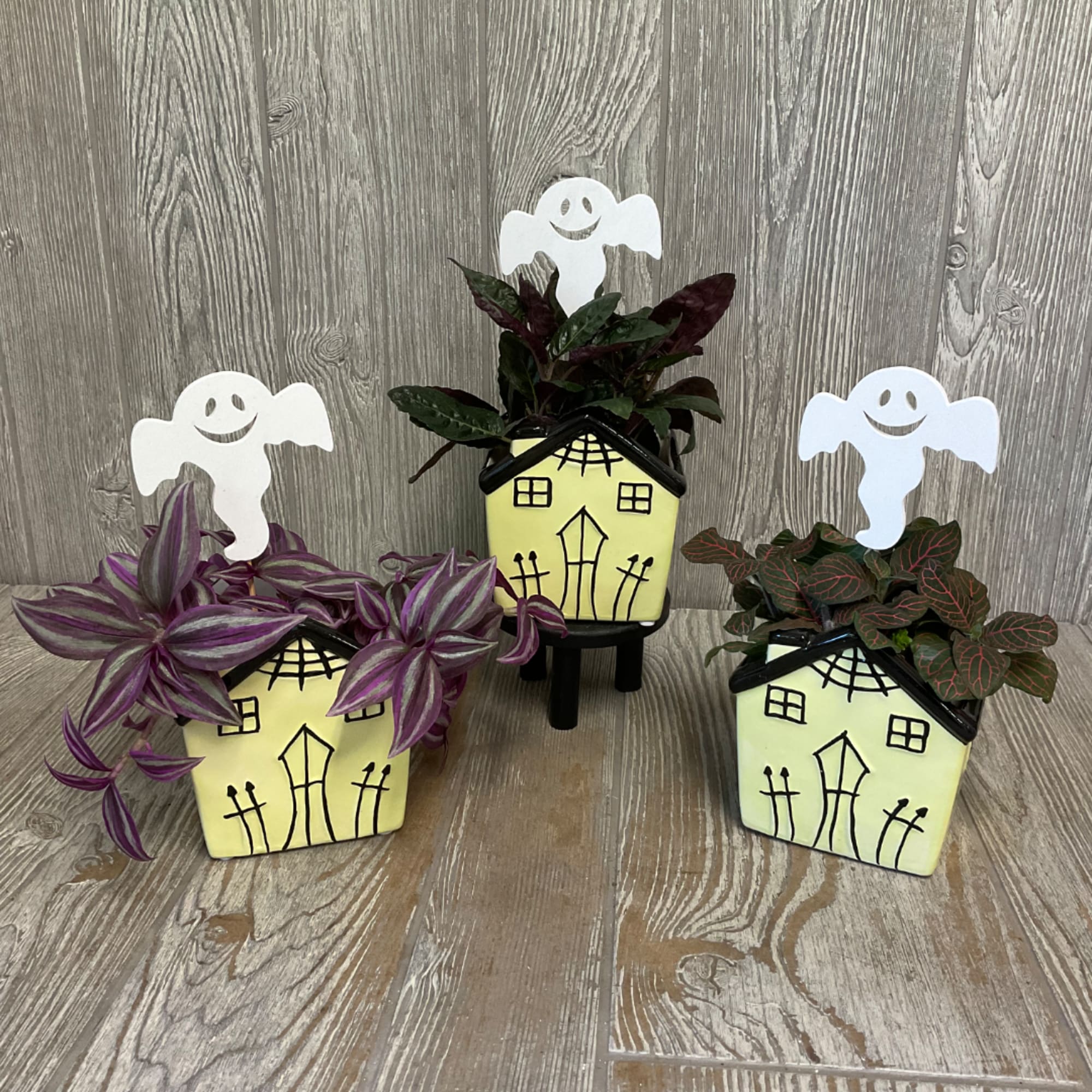 Three small potted plants in Halloween house planters with ghost picks