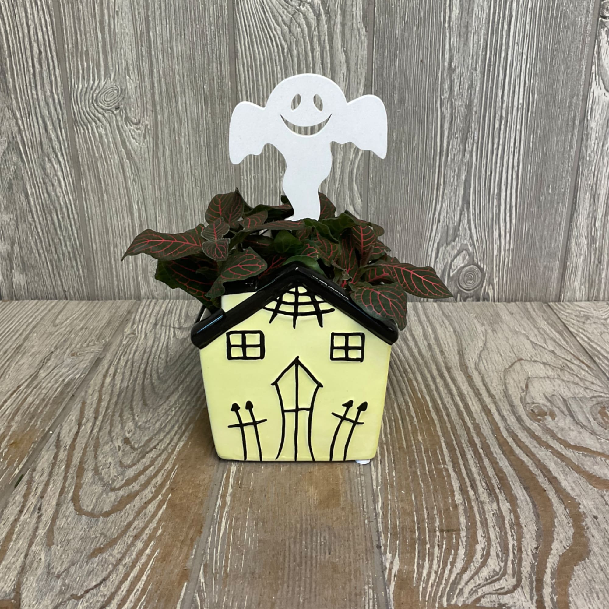 Potted plant in a Halloween house planter with a ghost topper