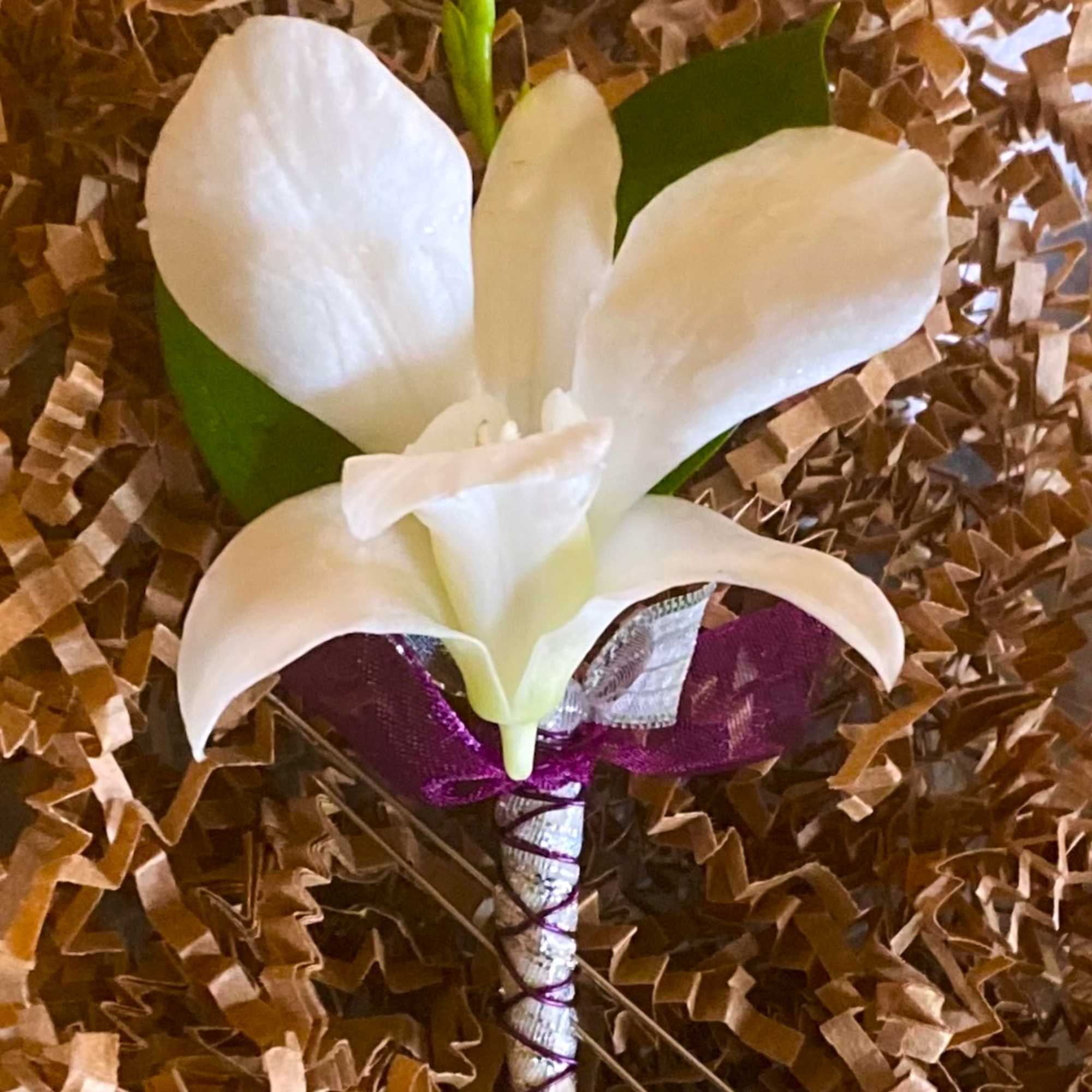 White calla lily boutonniere with purple ribbon wrap