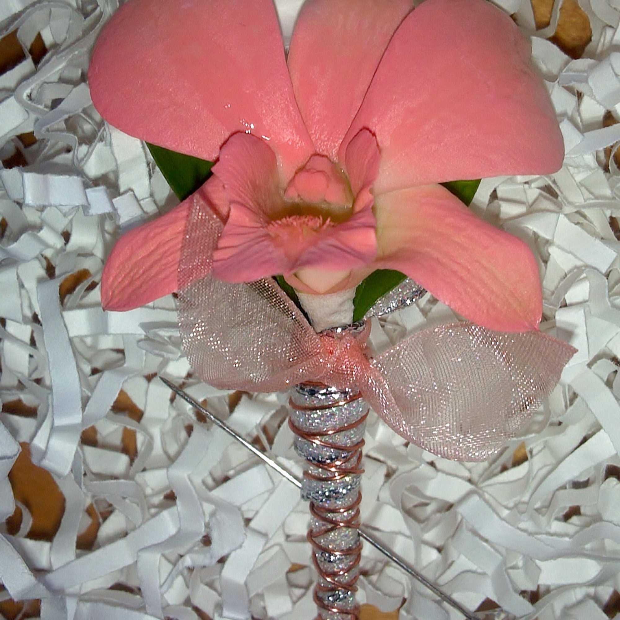 Pink orchid boutonniere with a sheer ribbon bow