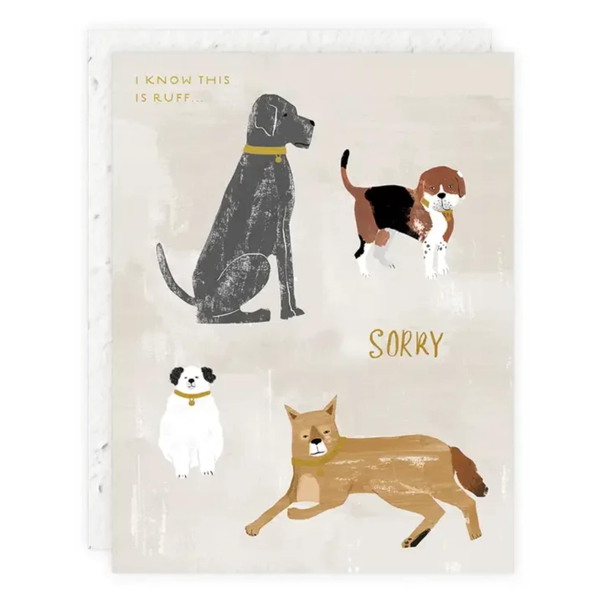 Greeting card with illustrated dogs and the words "I know this is ruff" and "sorry"