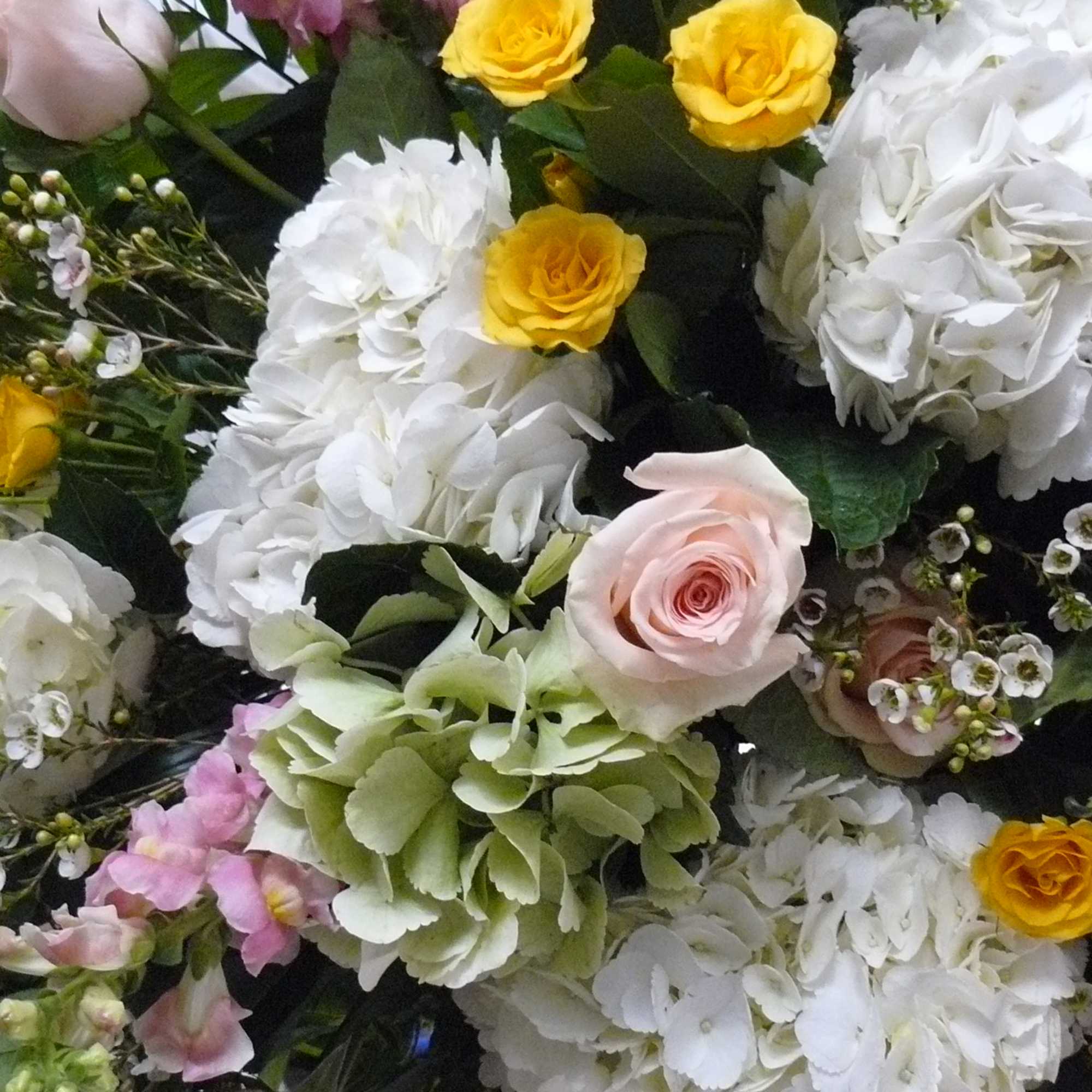 Multiple Colored Hydrangea, Roses, Spray Roses, Snapdragons, Ruscus, Palms, Fancy Greens