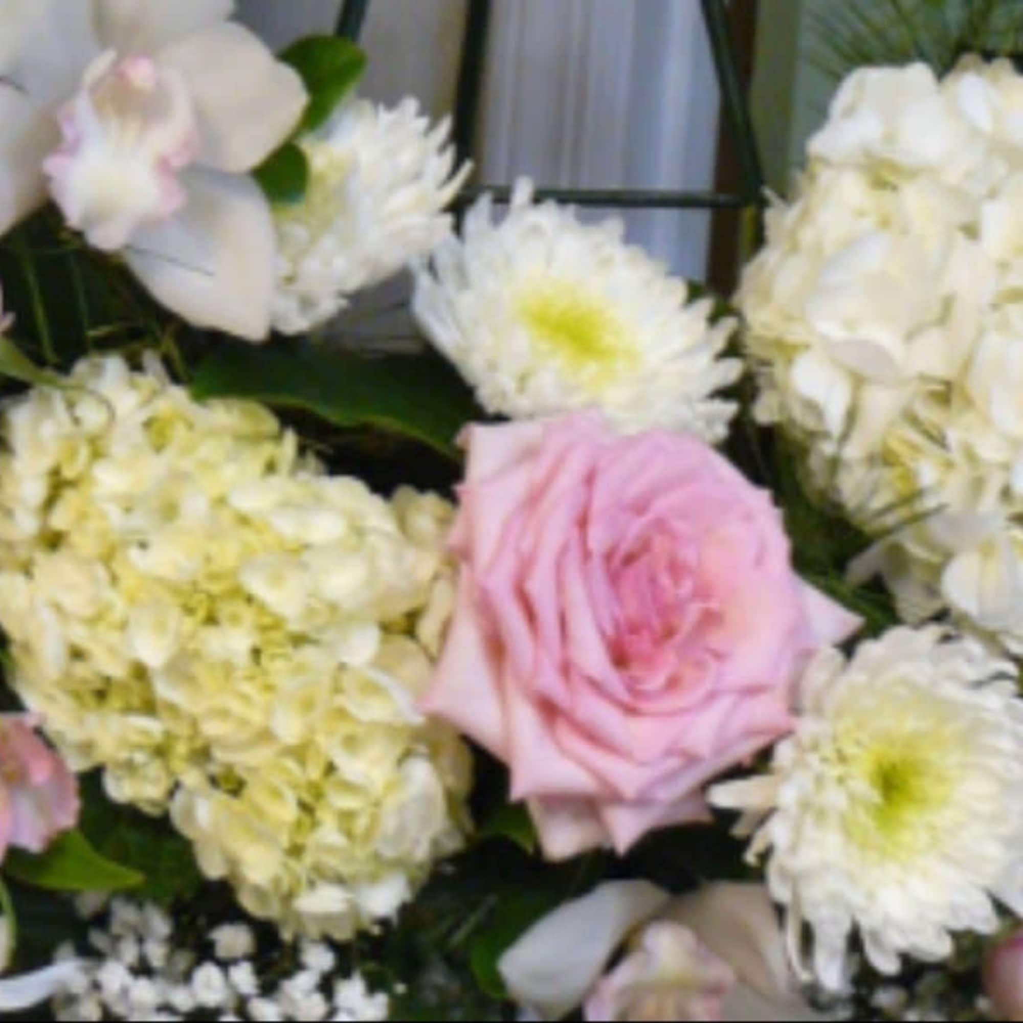 Pink roses and white hydrangeas with white daisies in a floral arrangement