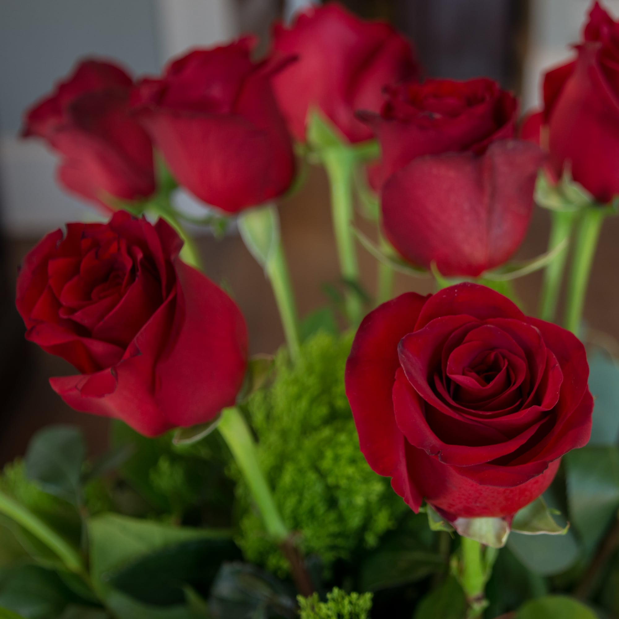Close-up bouquet of red roses with green filler