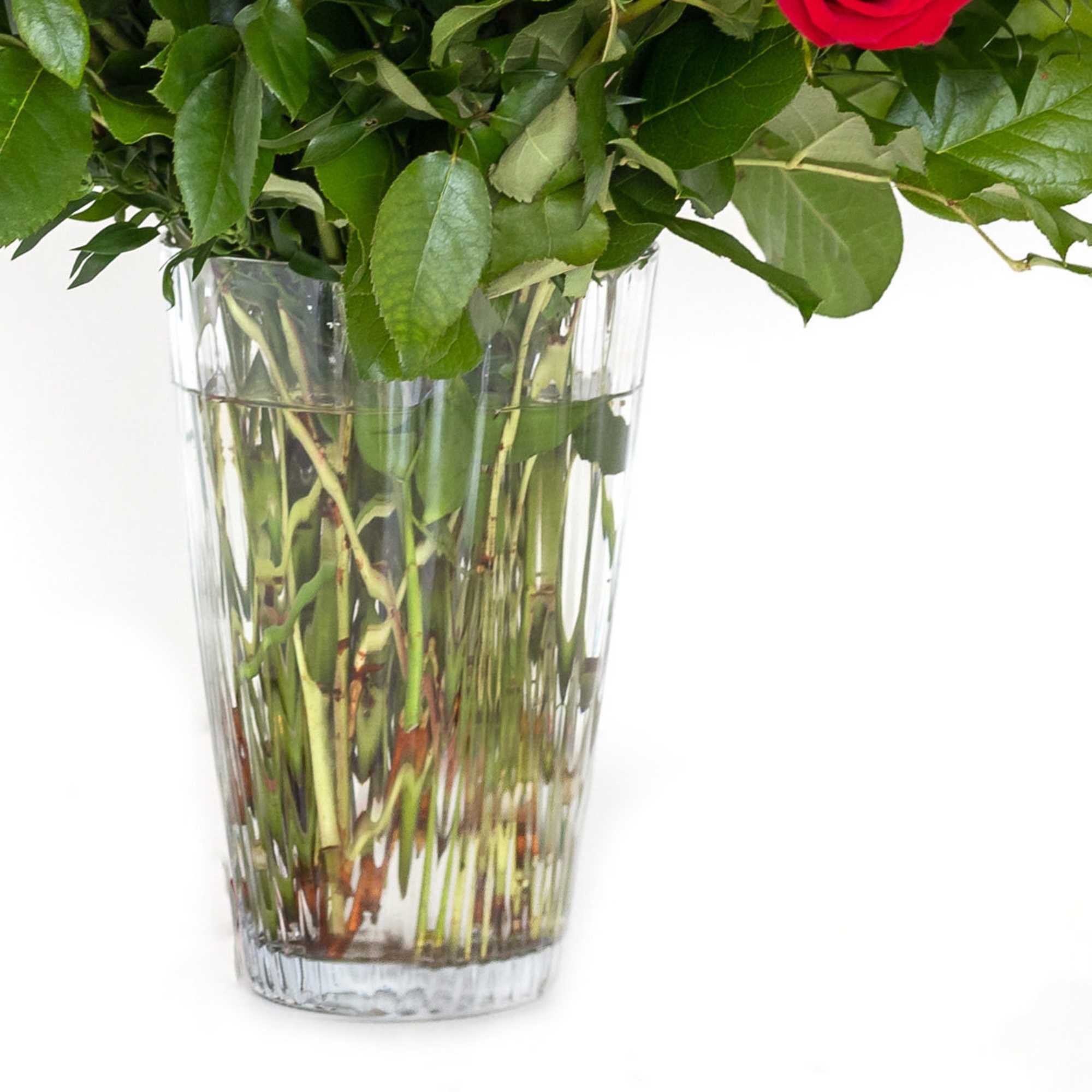Red roses in a clear glass vase