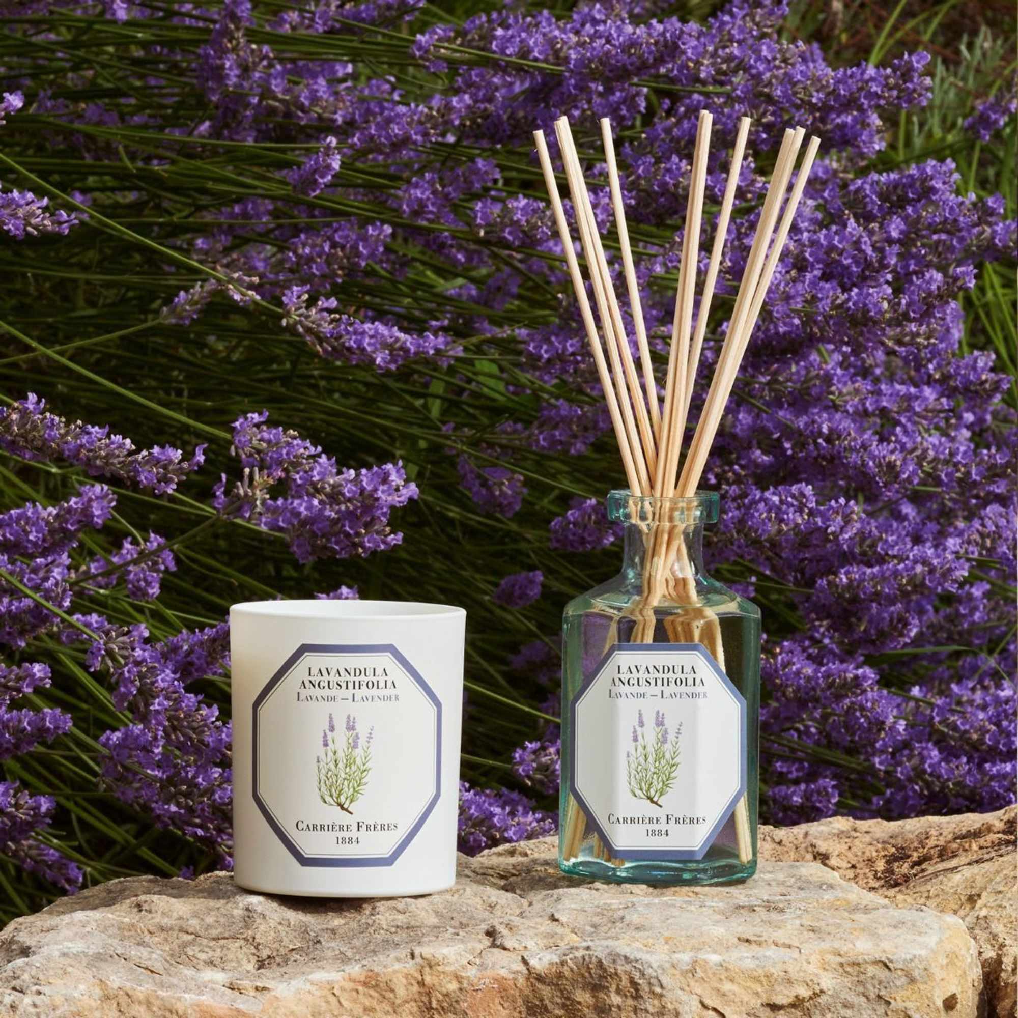 Lavender reed diffuser and candle in front of purple flowers