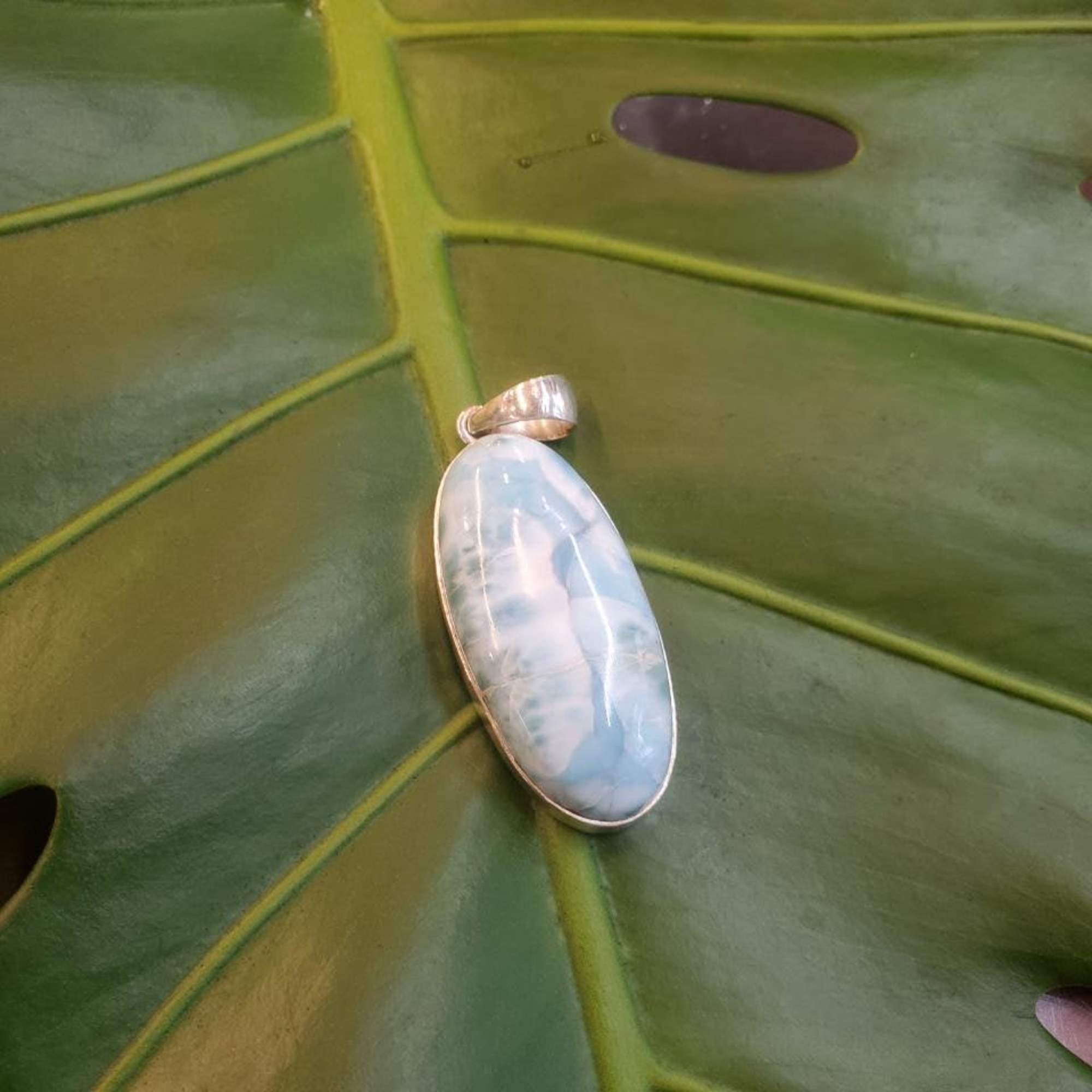 Oval blue stone pendant on a green leaf background