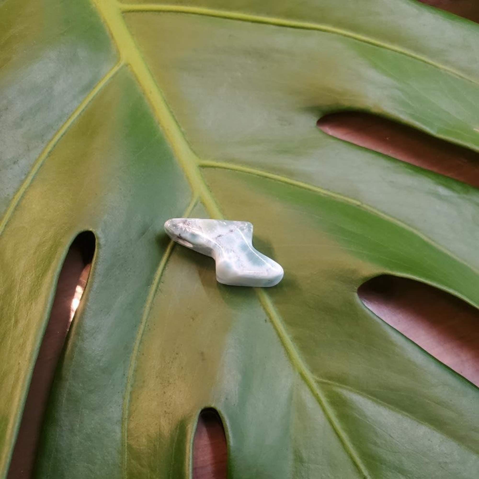 Small polished stone resting on a large green leaf