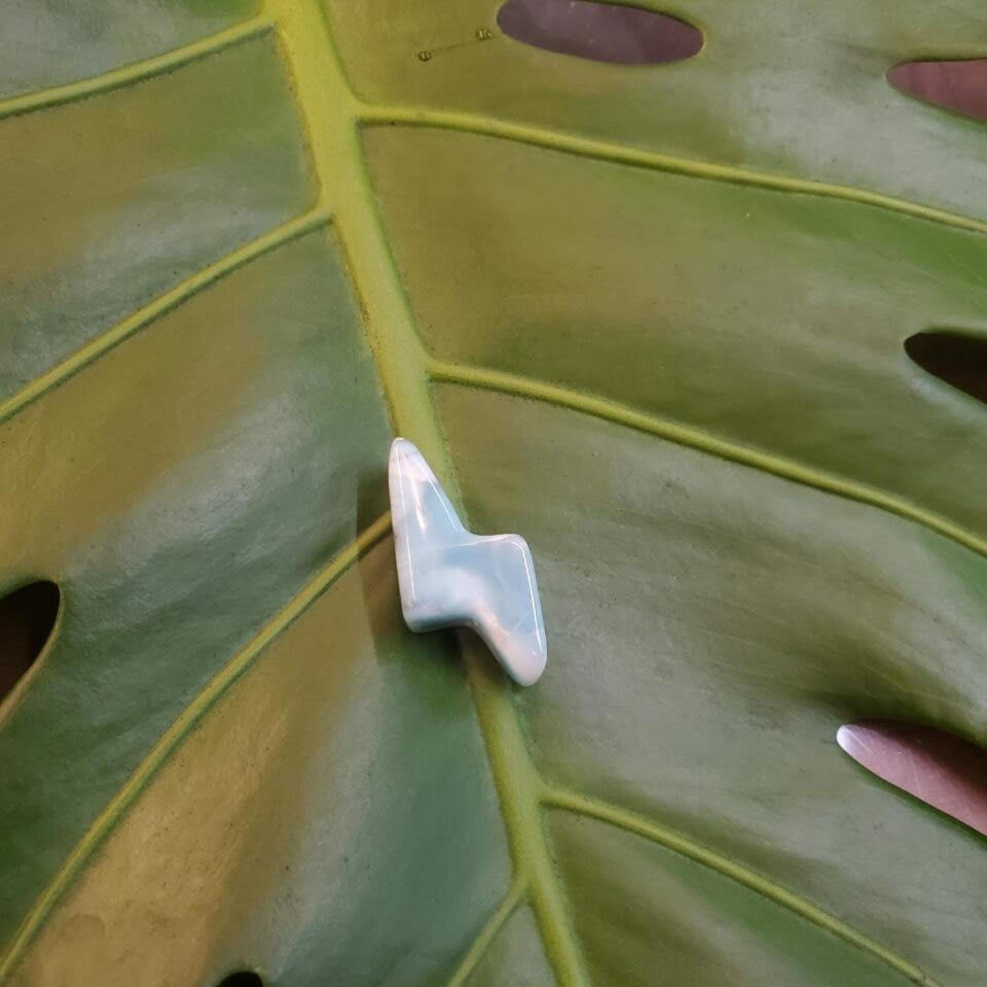 Close-up of a green leaf with a small white decorative object on it.