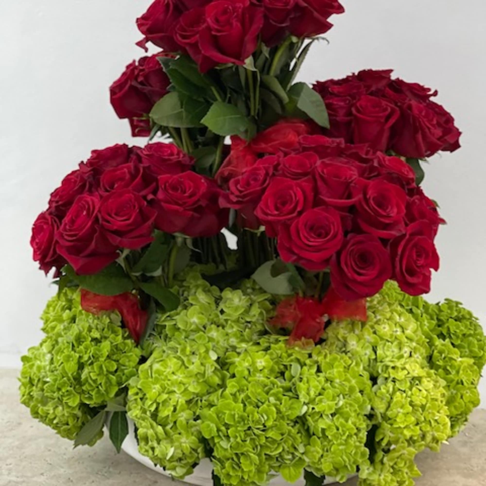 Red roses arranged above green hydrangeas in a white container