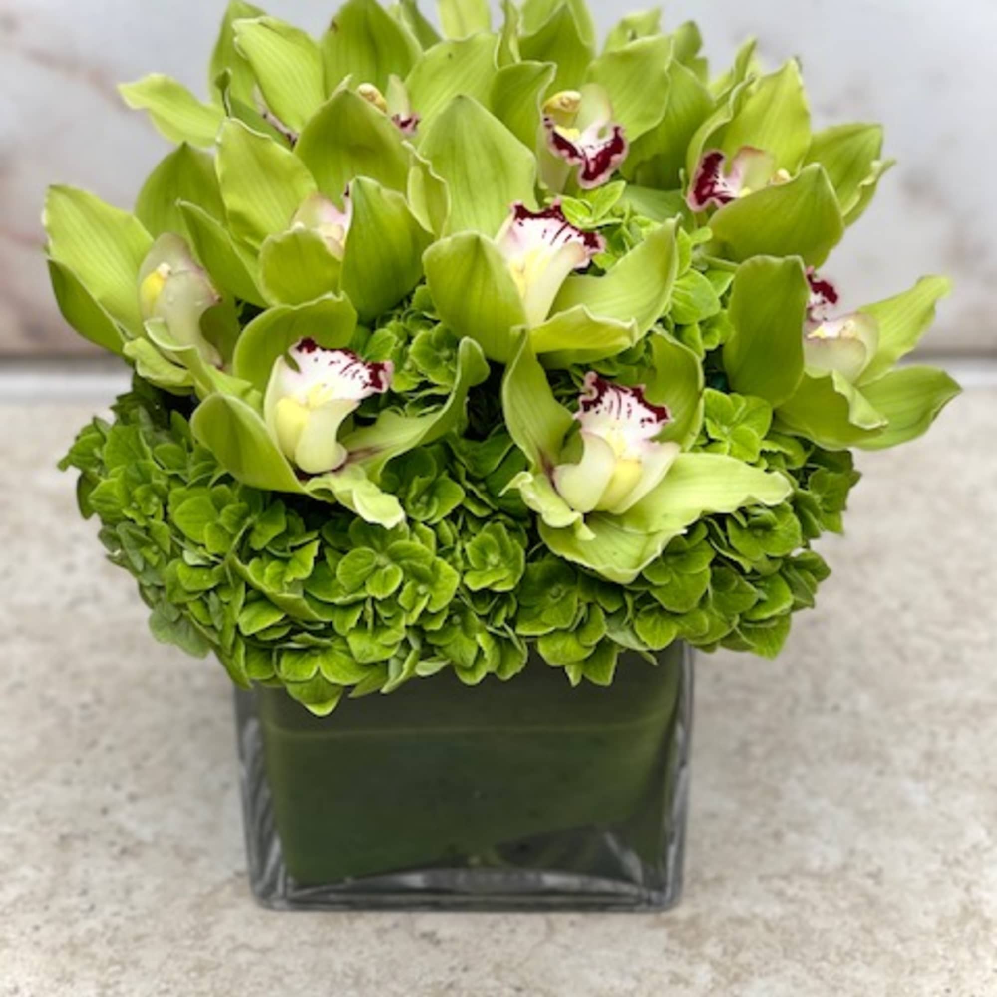 Green orchid arrangement in a square glass vase