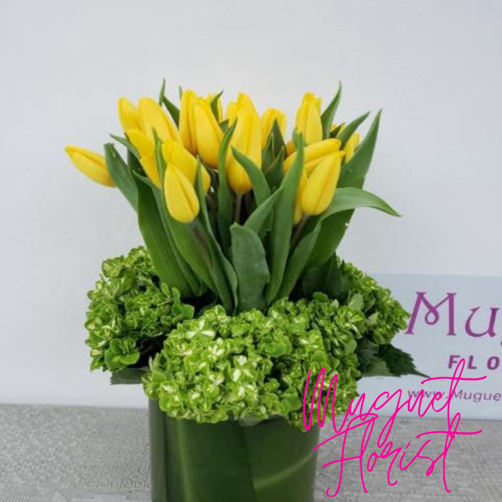 Yellow tulips arranged in a green vase with bright green hydrangeas
