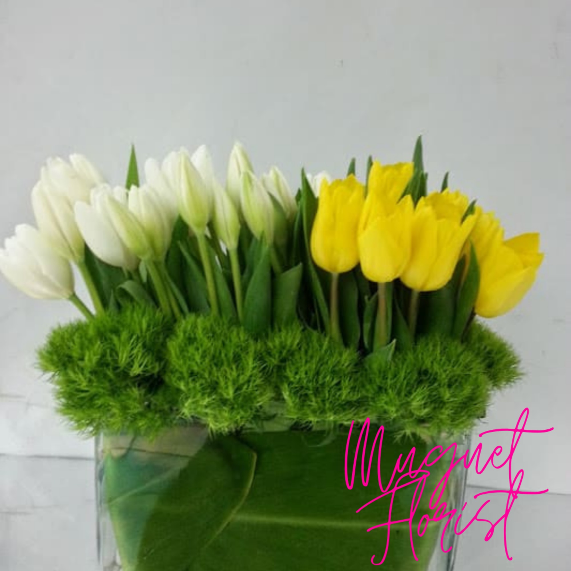 White and yellow tulips arranged in a clear glass vase with green filler