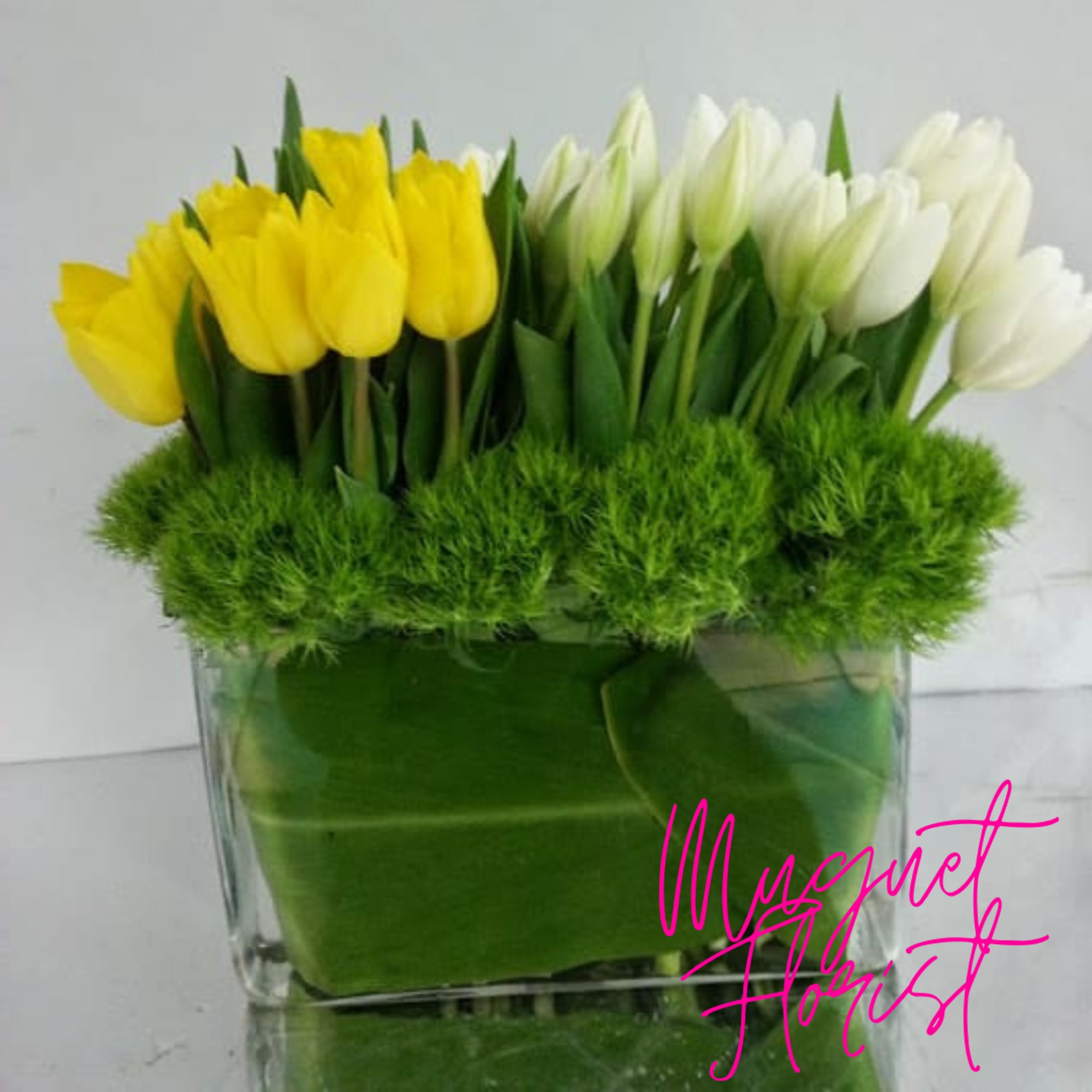 Yellow and white tulips in a clear glass vase with green filler