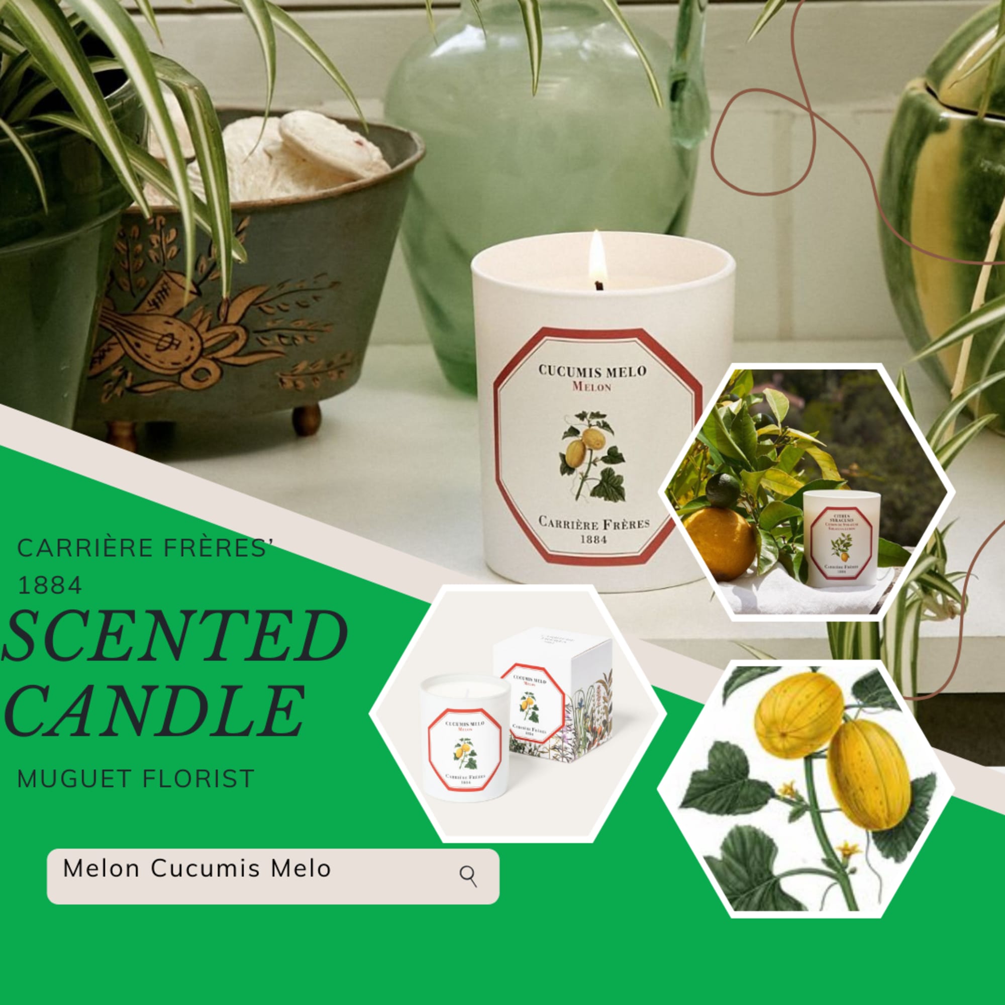 Scented candle with melon label beside potted plants