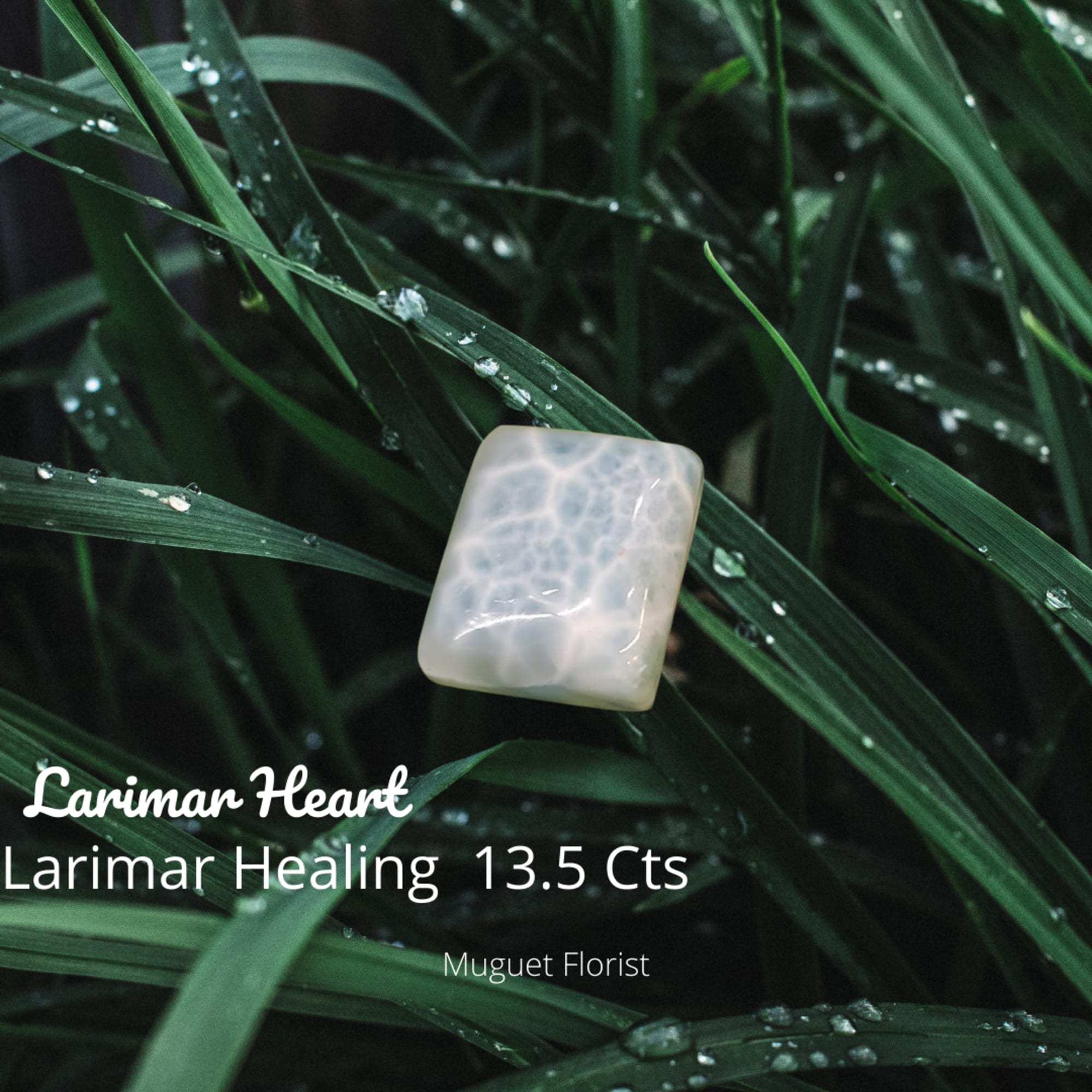 Polished larimar stone on dark green grass blades with water droplets