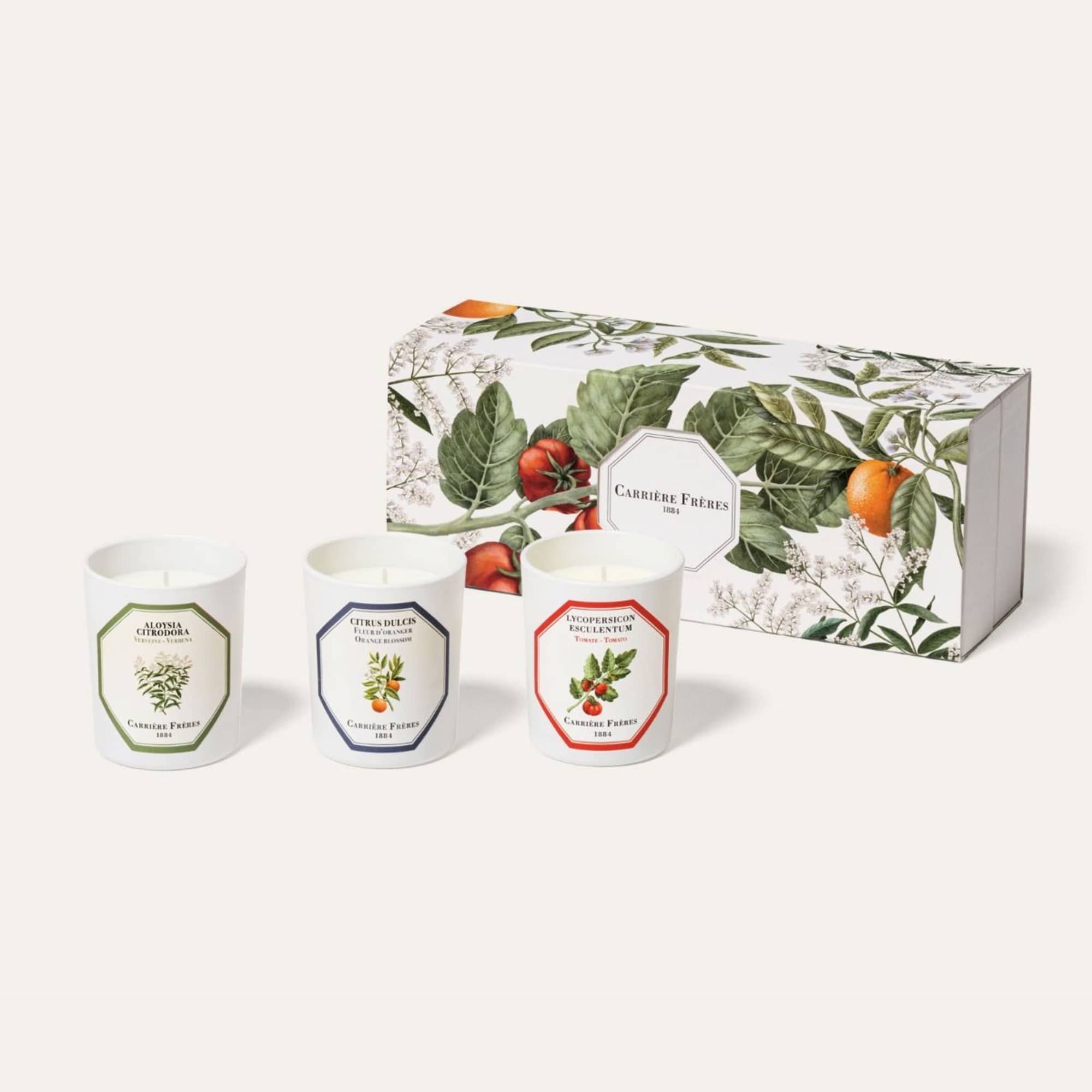 Three scented candles with a botanical gift box