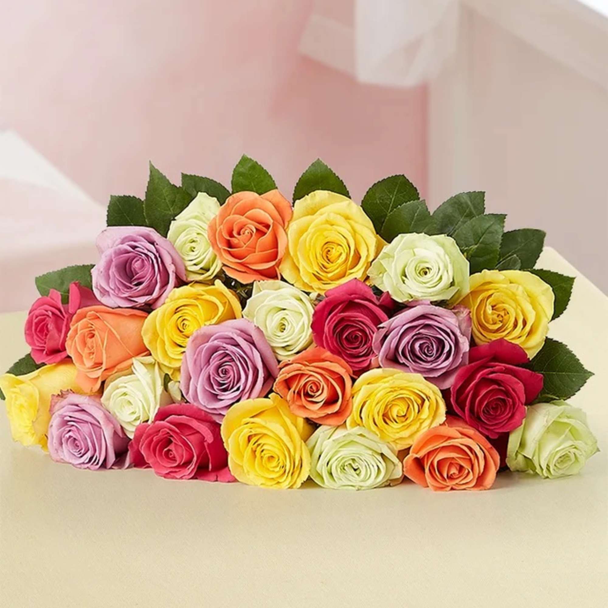 A bouquet of multicolored roses with dark green leaves.