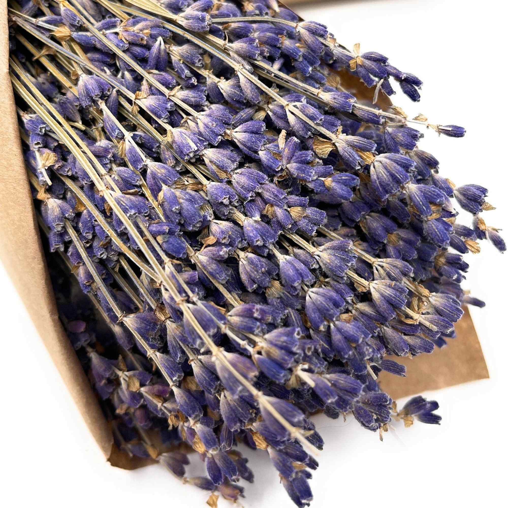 Bundle of dried purple lavender stems in brown paper
