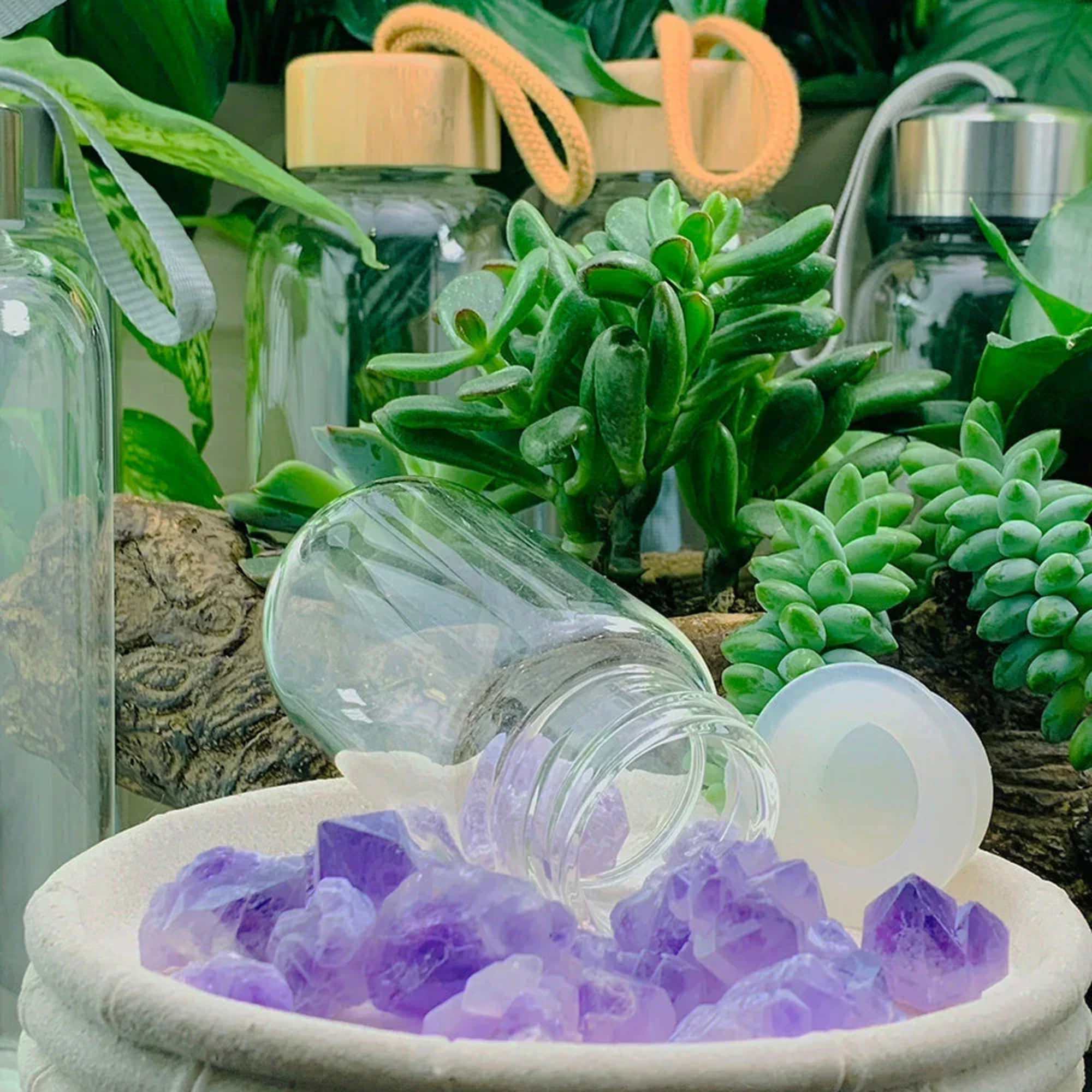 Glass jars with succulents and purple crystals in a white bowl