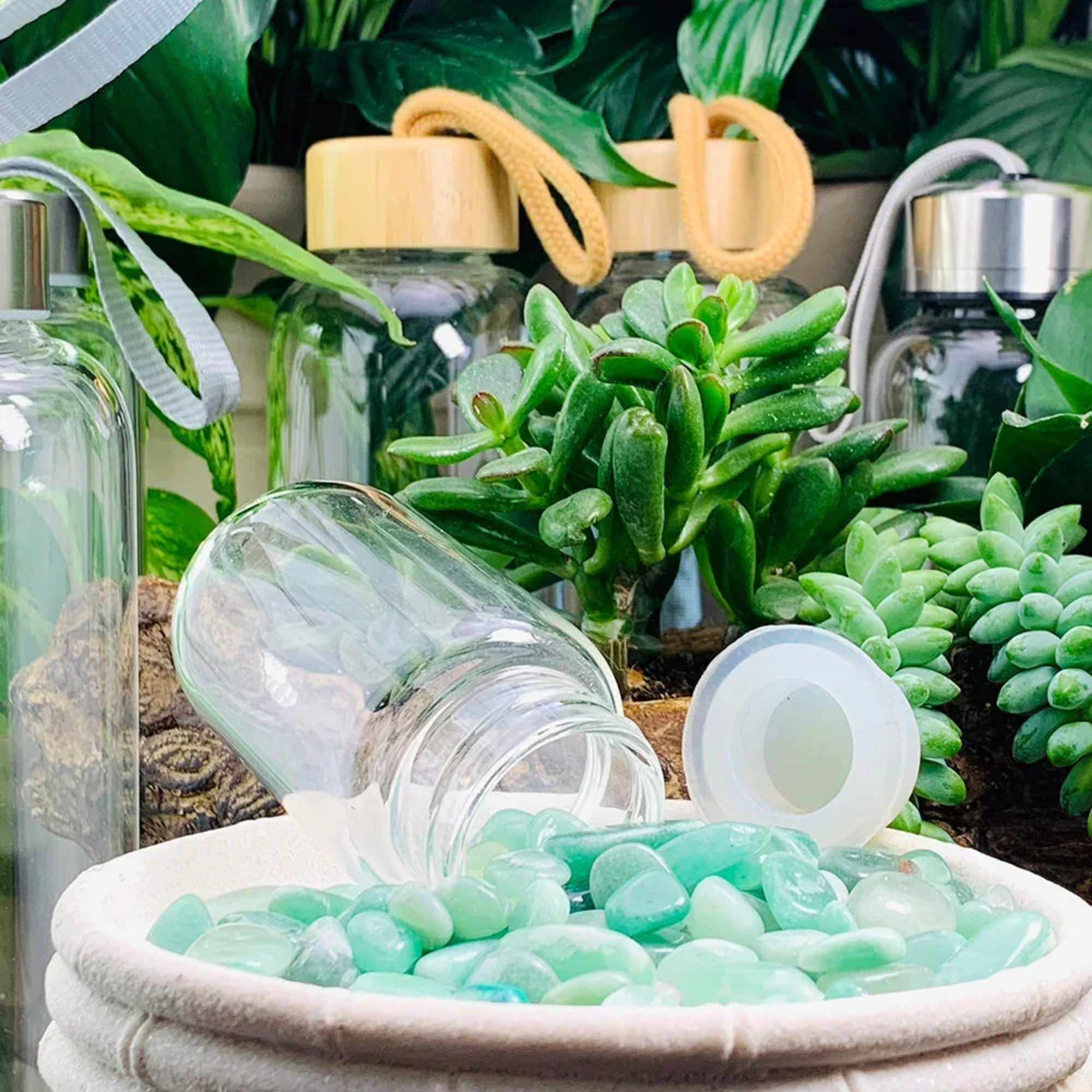 Succulent plants with glass water bottles and a bowl of aqua stones
