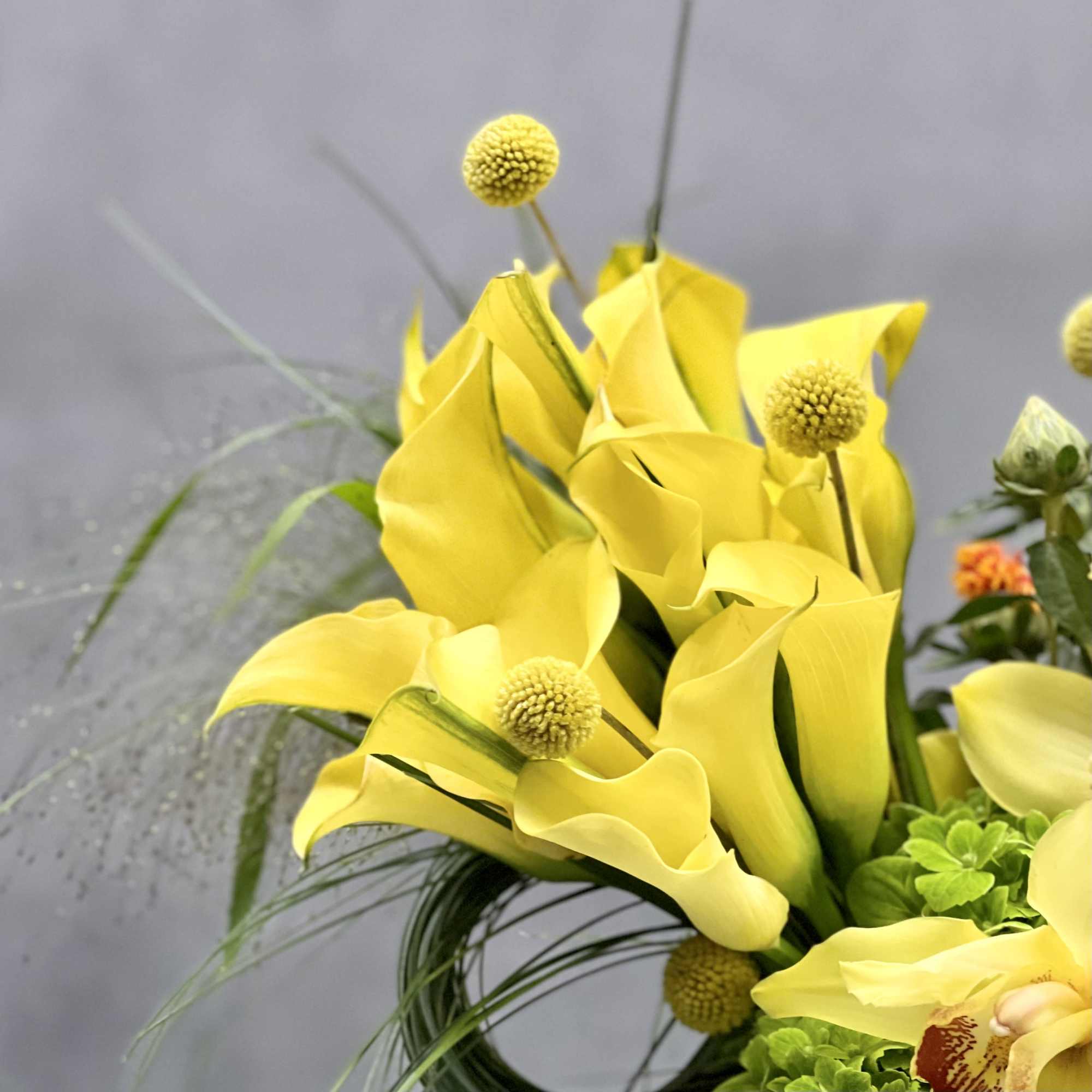Golden Cymbidium Orchid pairs with yellow calla lilies in a black geometric, photo 4 of 4