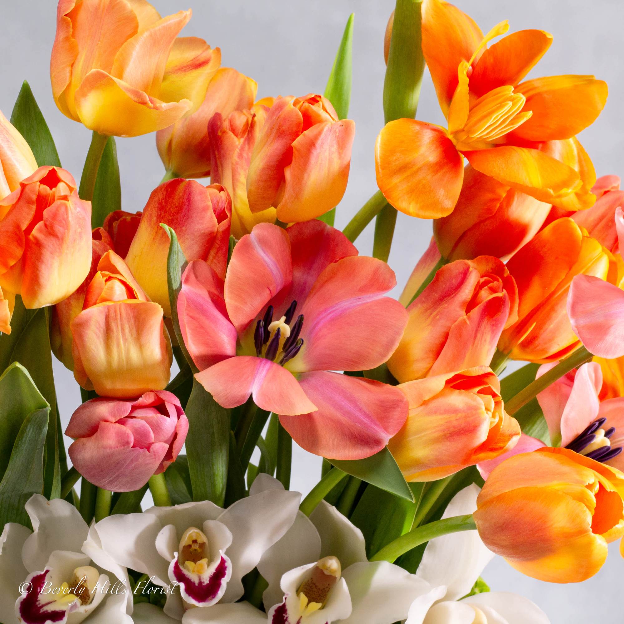 Experience the exquisite harmony of colors and textures with our Blossom Harmony, photo 2 of 3