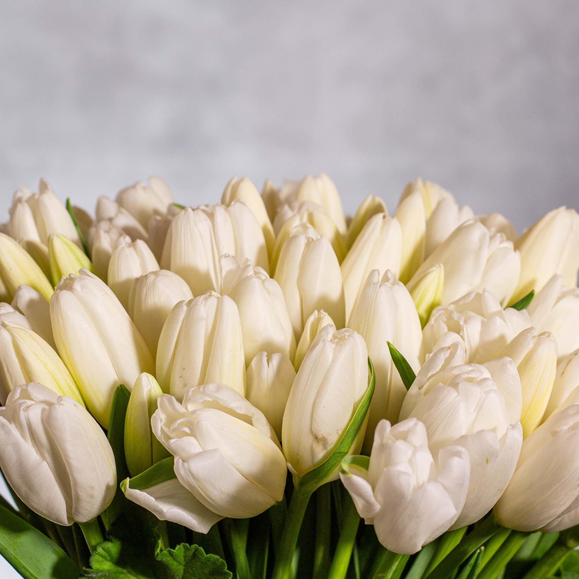 Indulge in a harmonious blend of elegance and tranquility with our exquisite, photo 2 of 5
