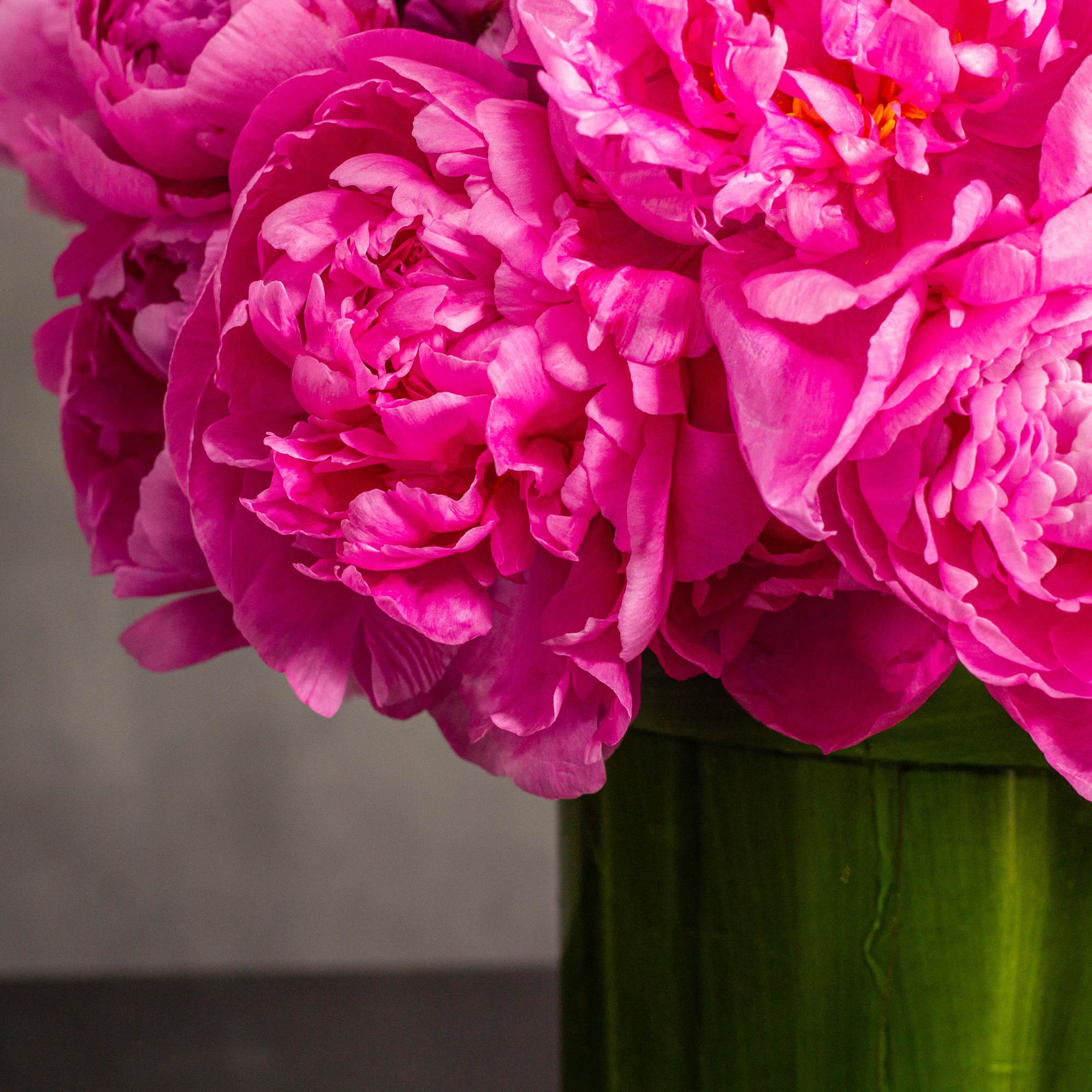 Treat yourself or a loved one to our exquisite floral arrangement featuring, photo 5 of 5