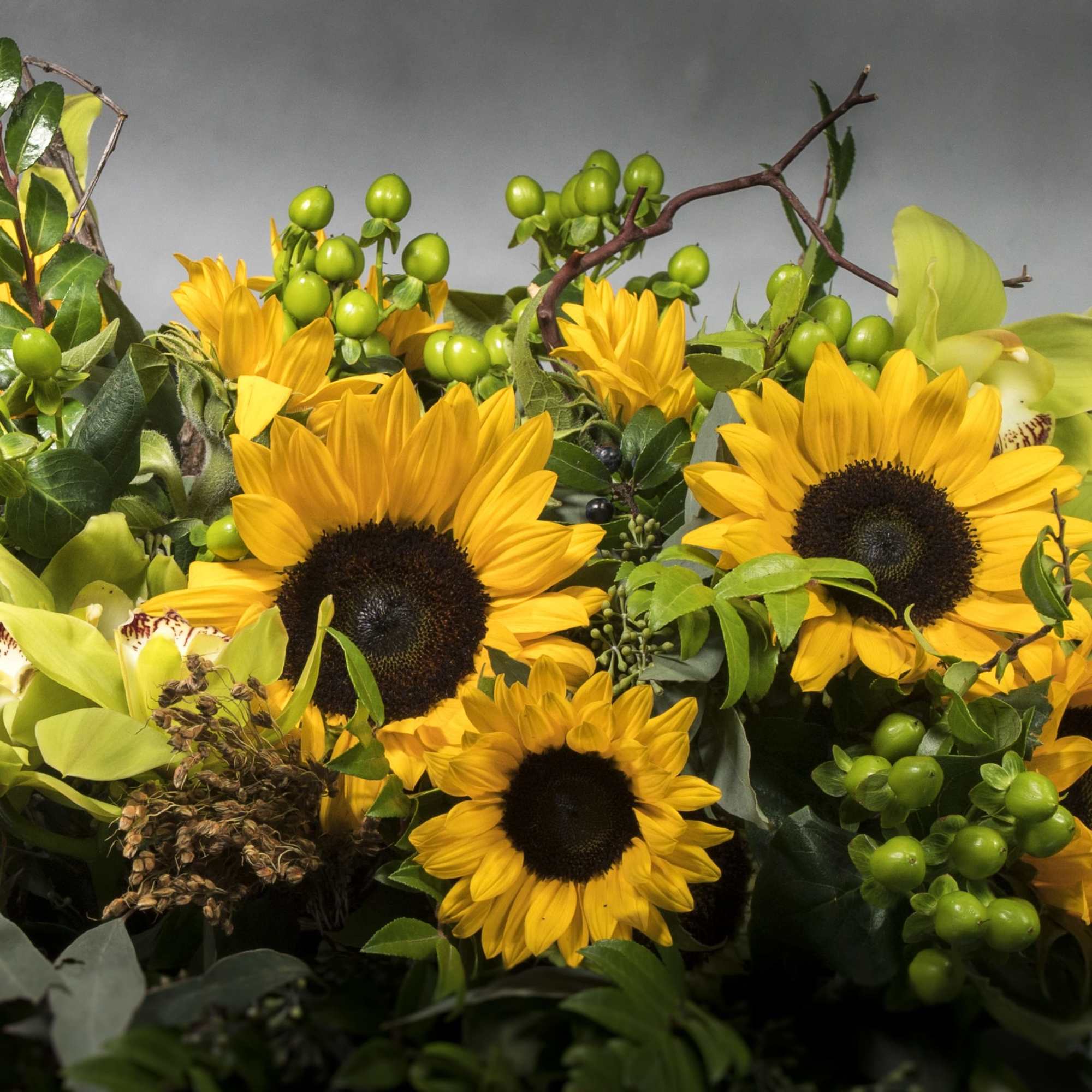 There&rsquo;s so much about sunflowers that inspire and that&rsquo;s why we&rsquo;ve captured, photo 3 of 3