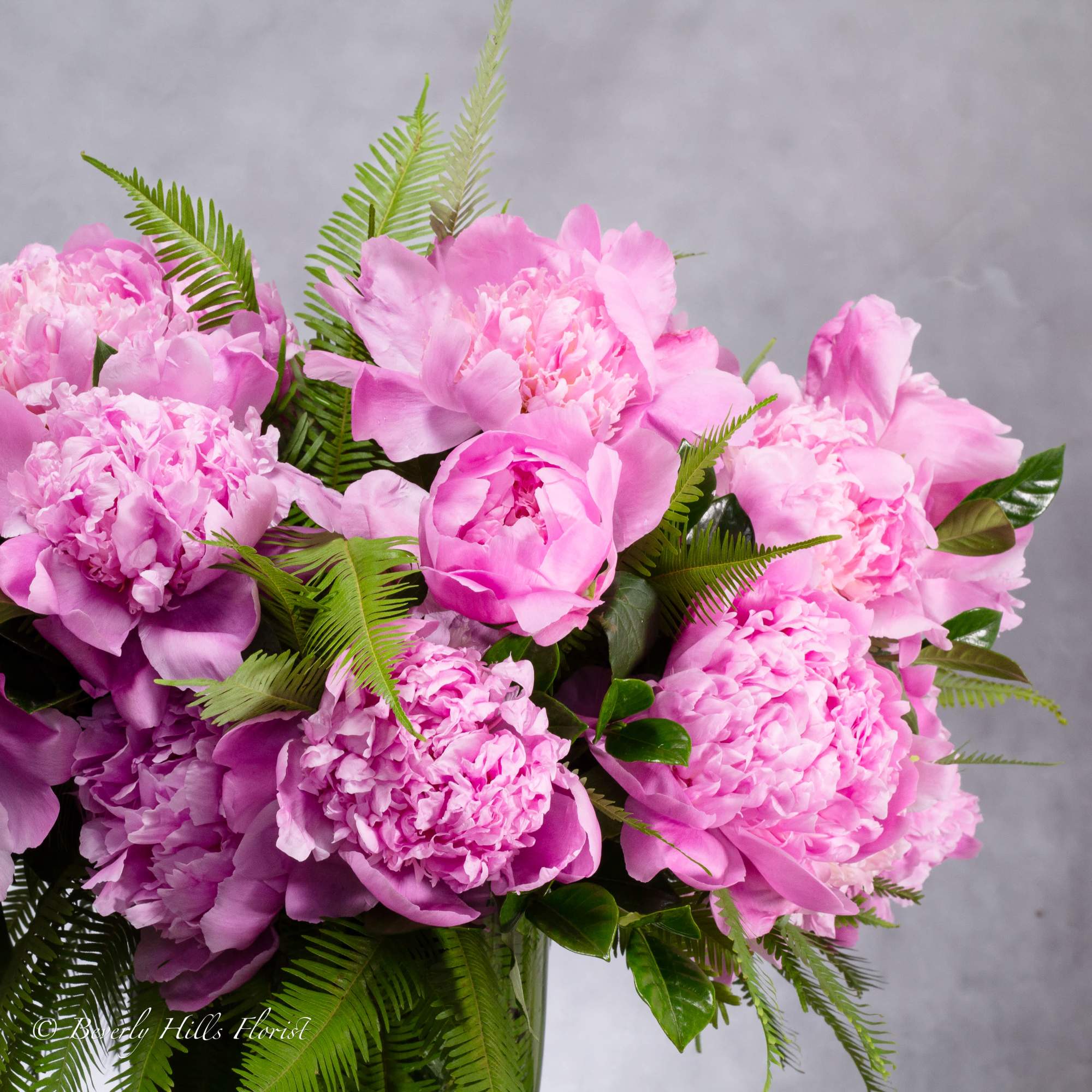 Pink peonies arranged with fern foliage in a vase