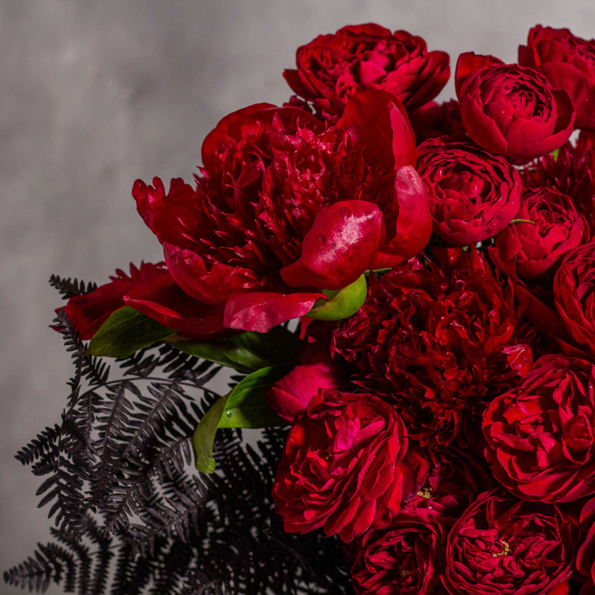 Bouquet of deep red roses and peonies with dark foliage