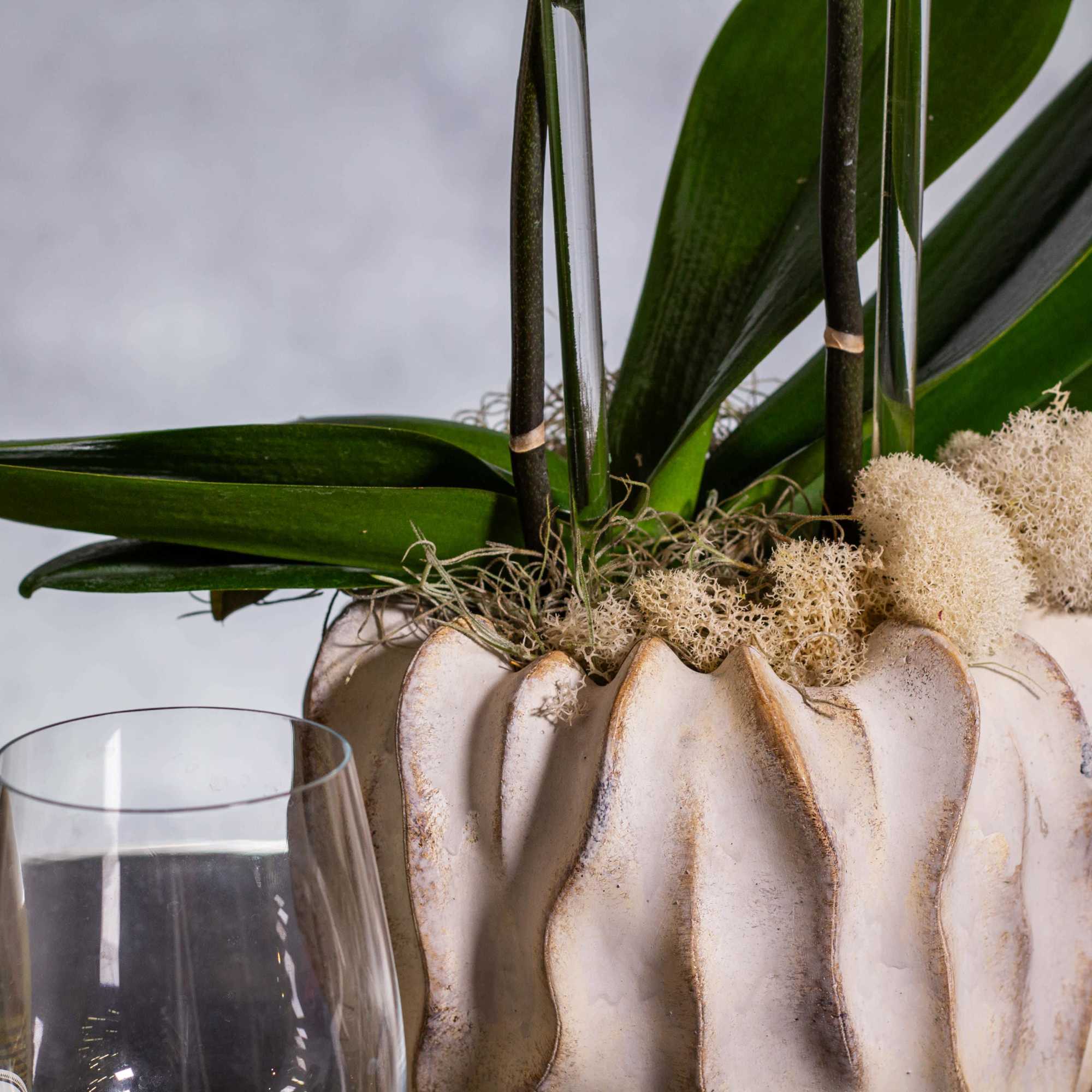 Elevate your space with the timeless allure of our "Eternal Elegance" arrangement, photo 2 of 3