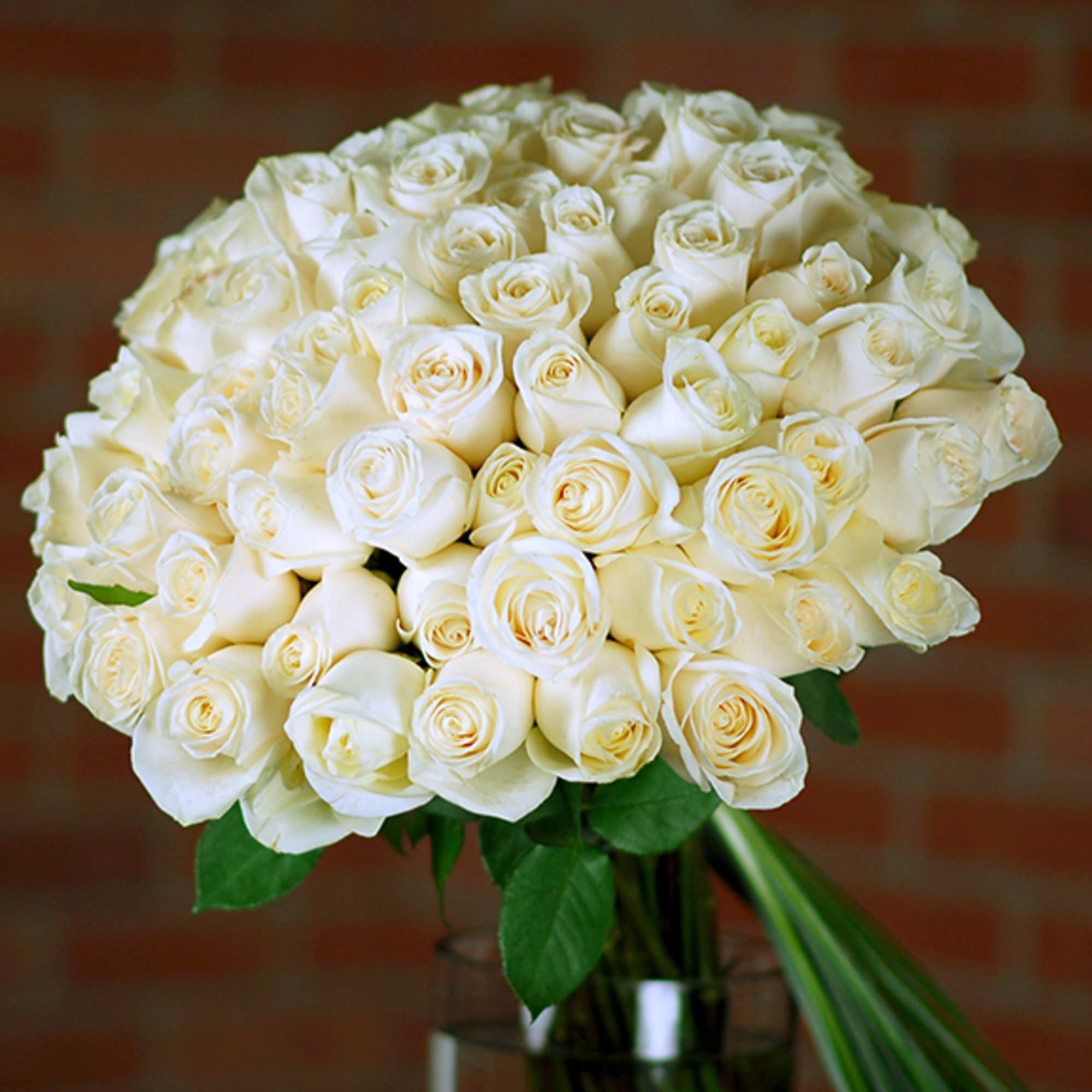 Bouquet of white roses in a glass vase