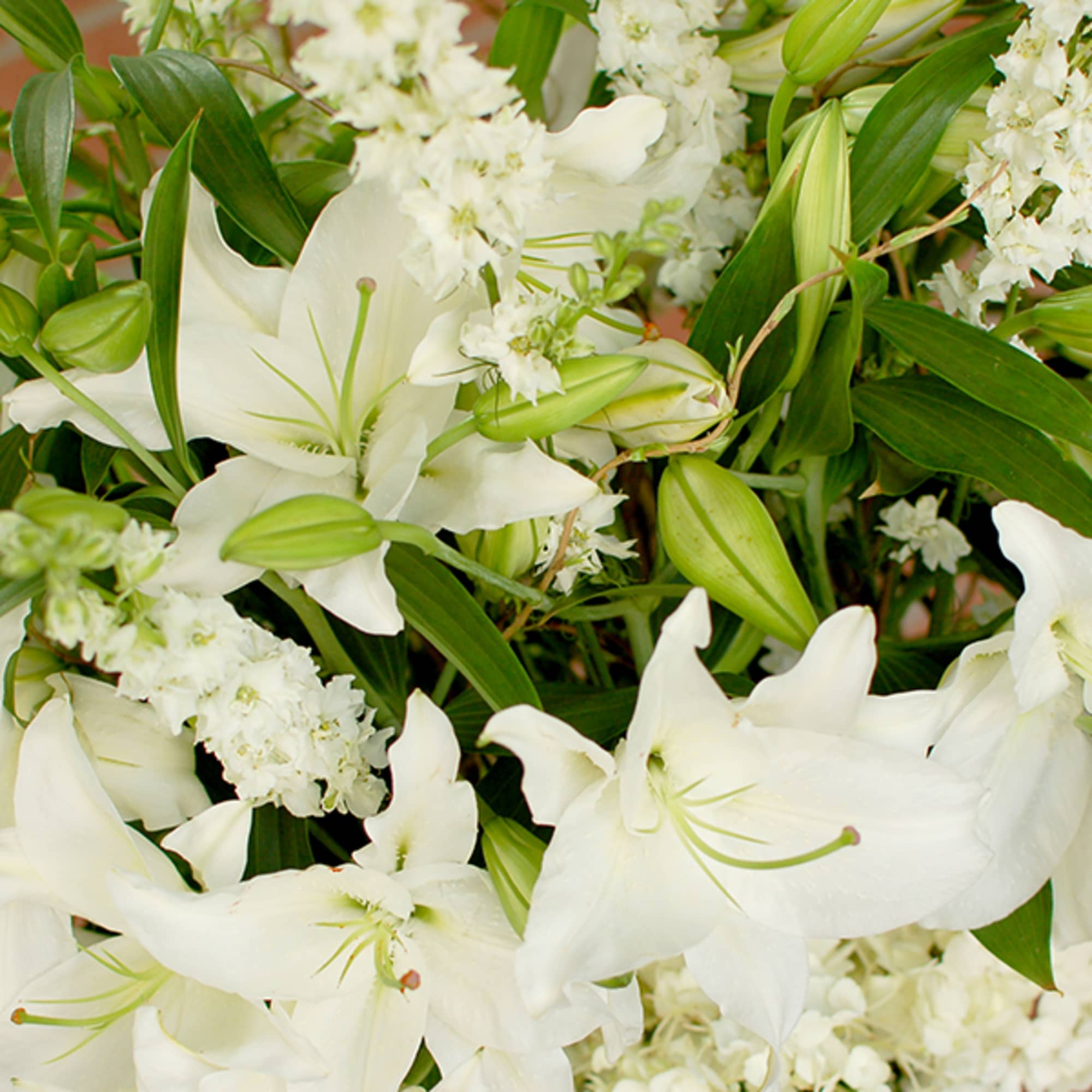 White lilies and small white filler flowers with green buds