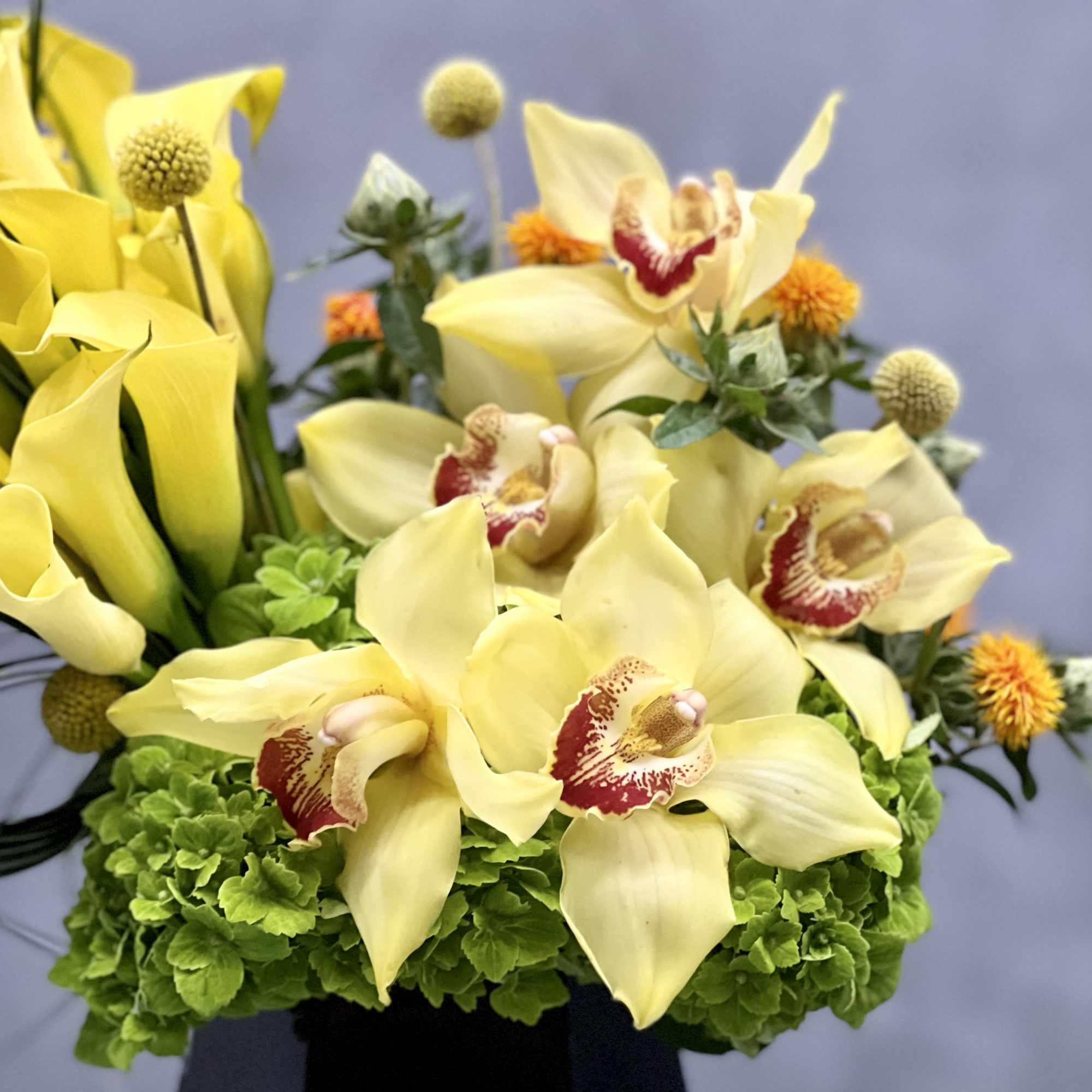 Golden Cymbidium Orchid pairs with yellow calla lilies in a black geometric, photo 3 of 4