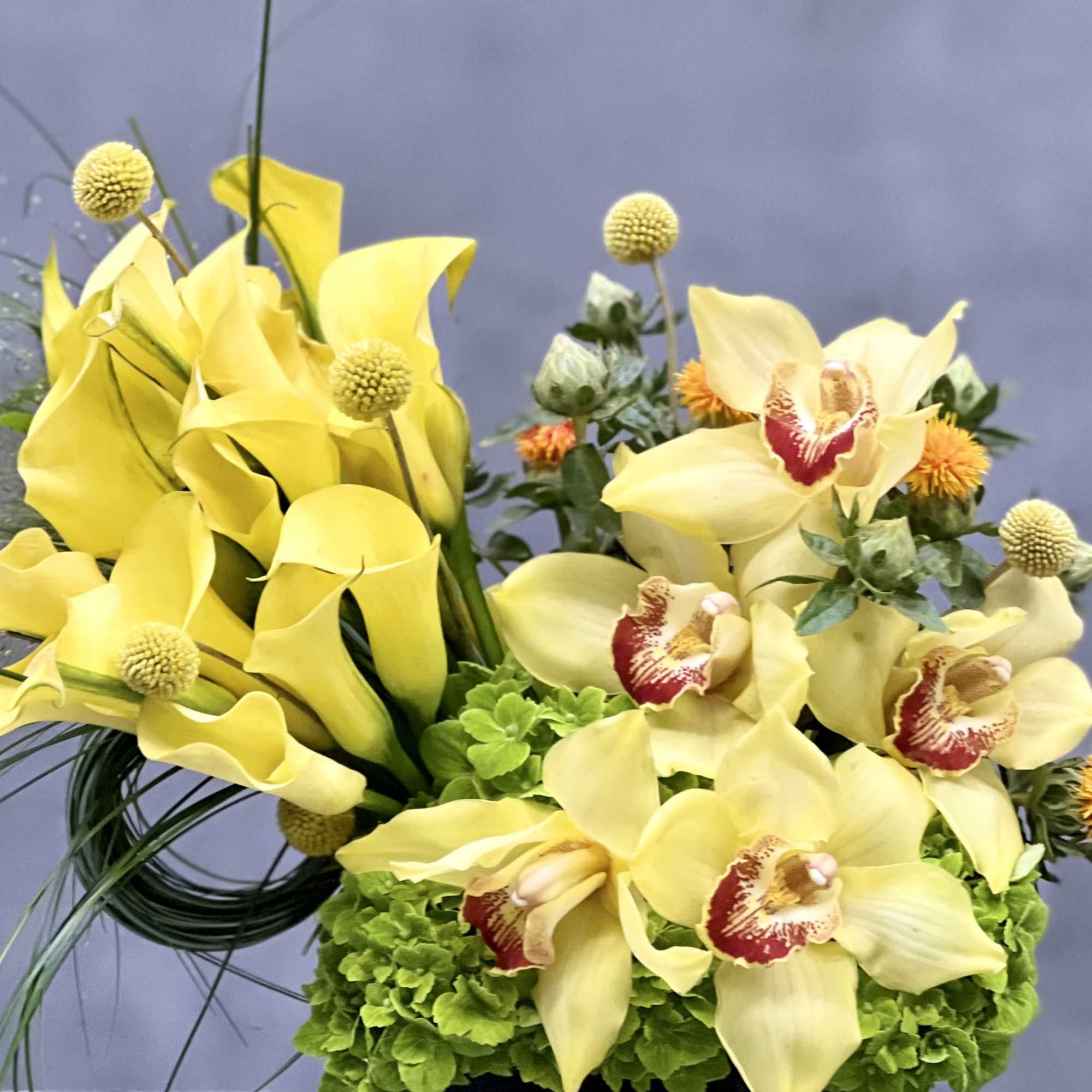 Golden Cymbidium Orchid pairs with yellow calla lilies in a black geometric, photo 2 of 4