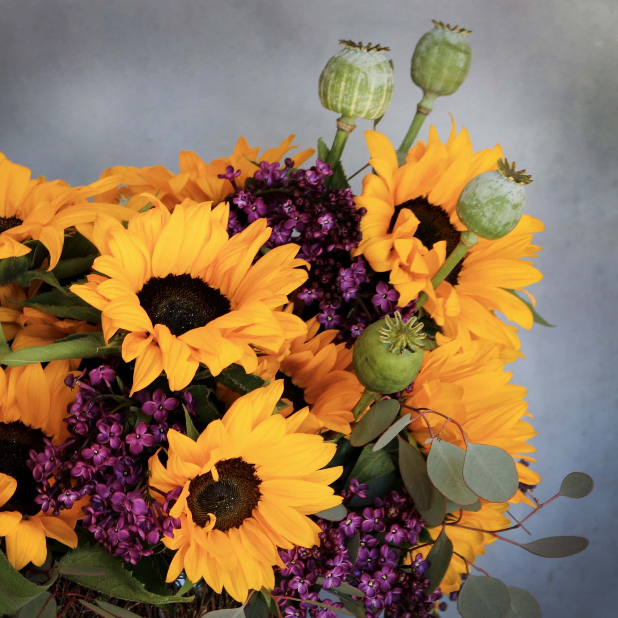 Container: 6 inches by 11 inches
Arrangement: 13 inches by 20 inches
This arrangement, photo 4 of 4