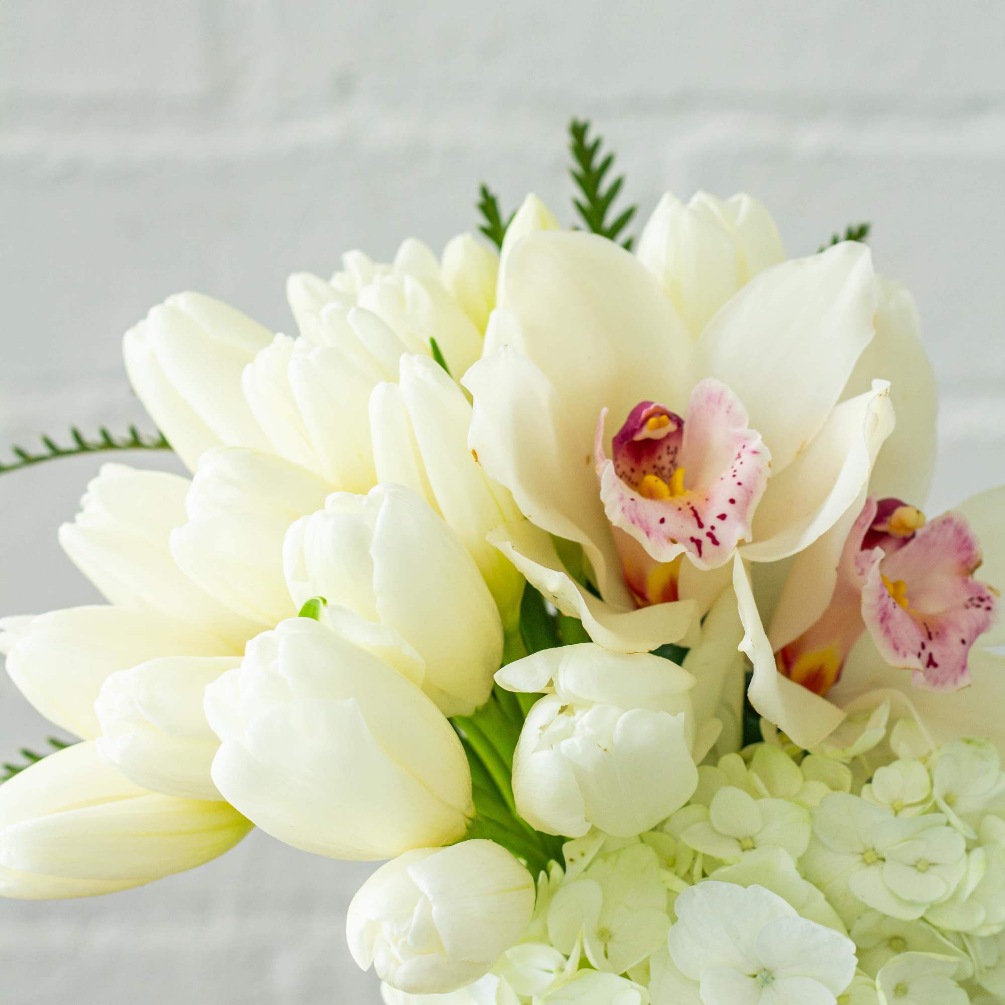 My Beverly Hills Florist presents a dramatic display of Dutch Tulips and, photo 5 of 5