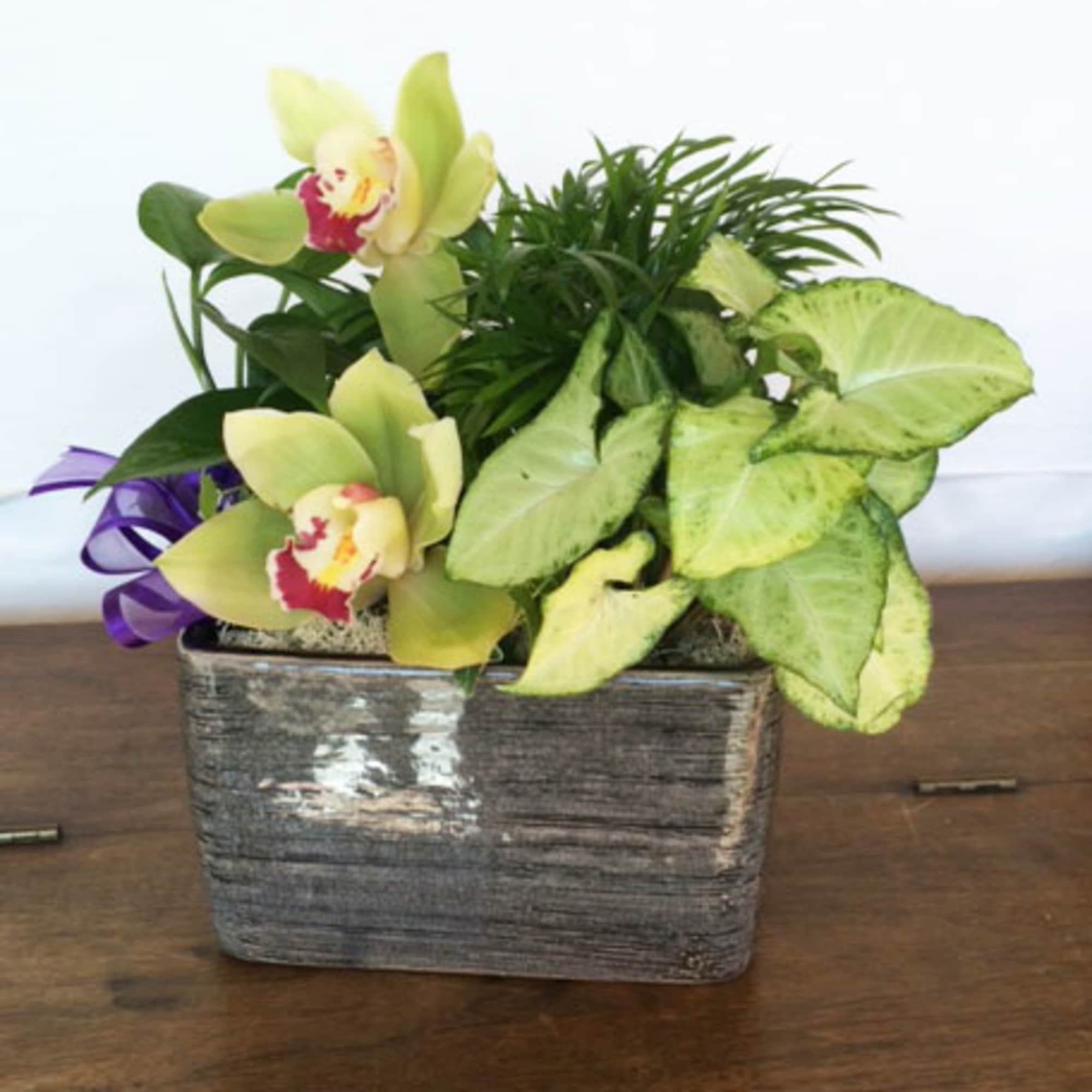 Orchid arrangement in a rectangular ceramic planter