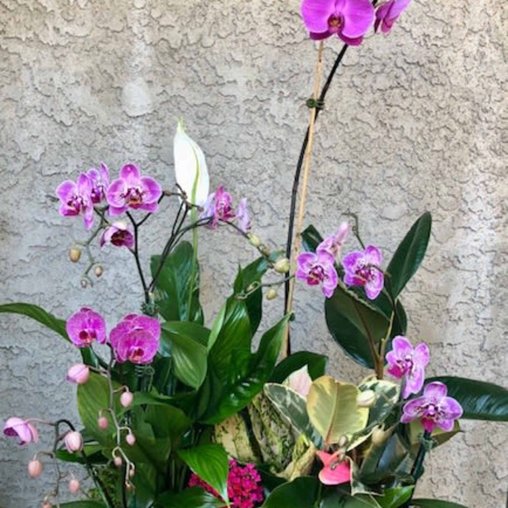 Mixed planter with purple orchids, pink flowers, and assorted foliage in a rectangular wooden container