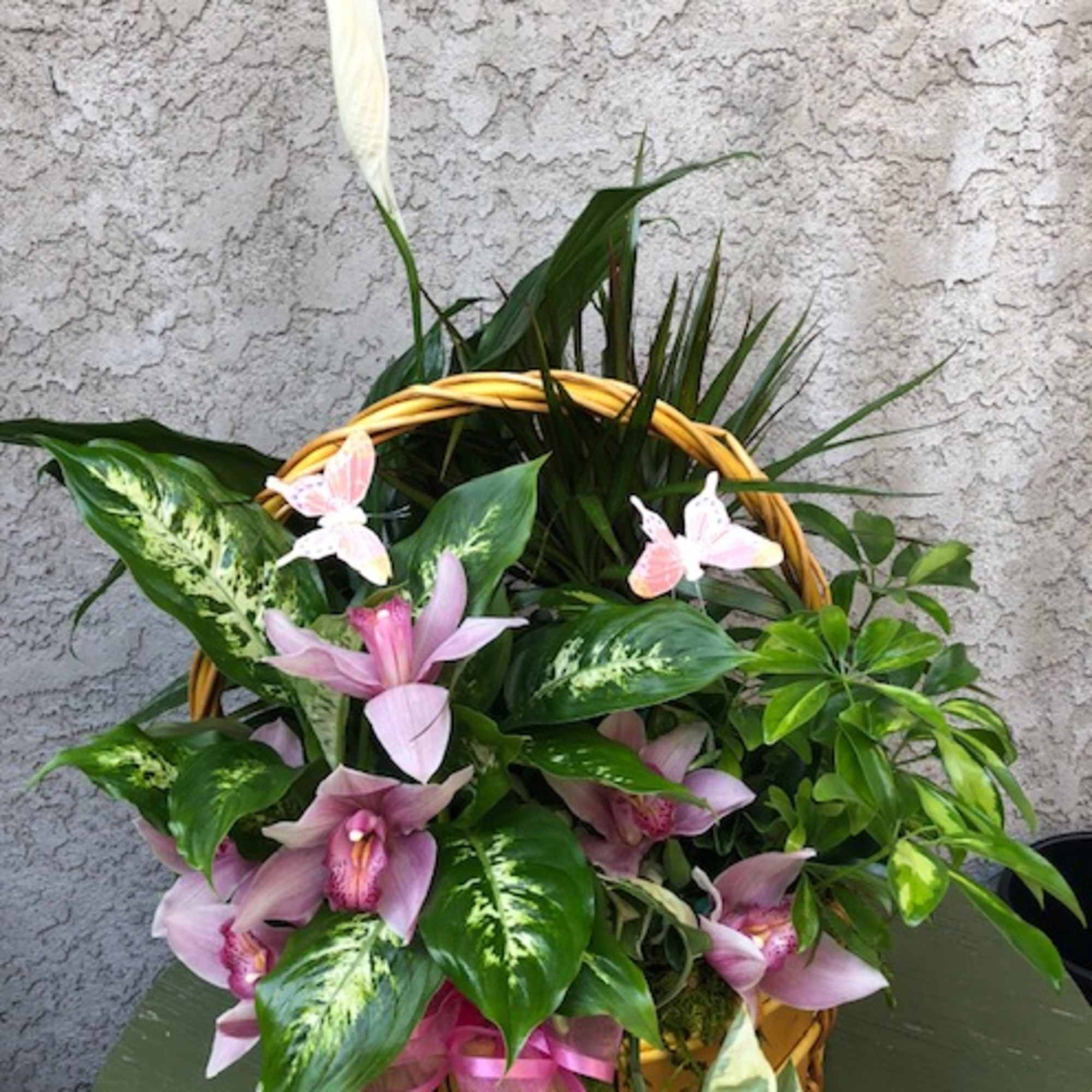 Basket arrangement with pink orchids and white peace lily