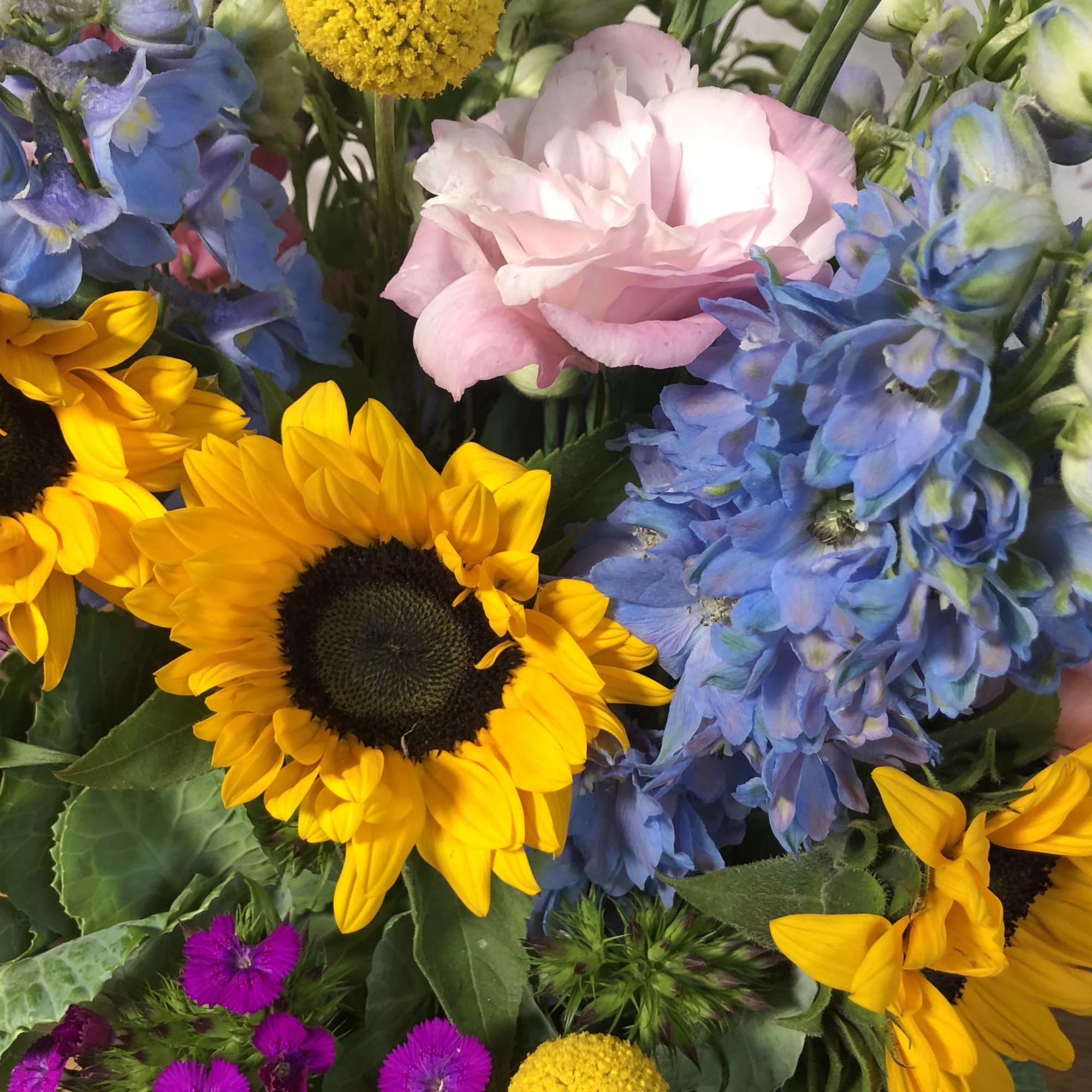 Mixed bouquet with sunflowers, pink rose, blue flowers, and yellow pom-pom blooms