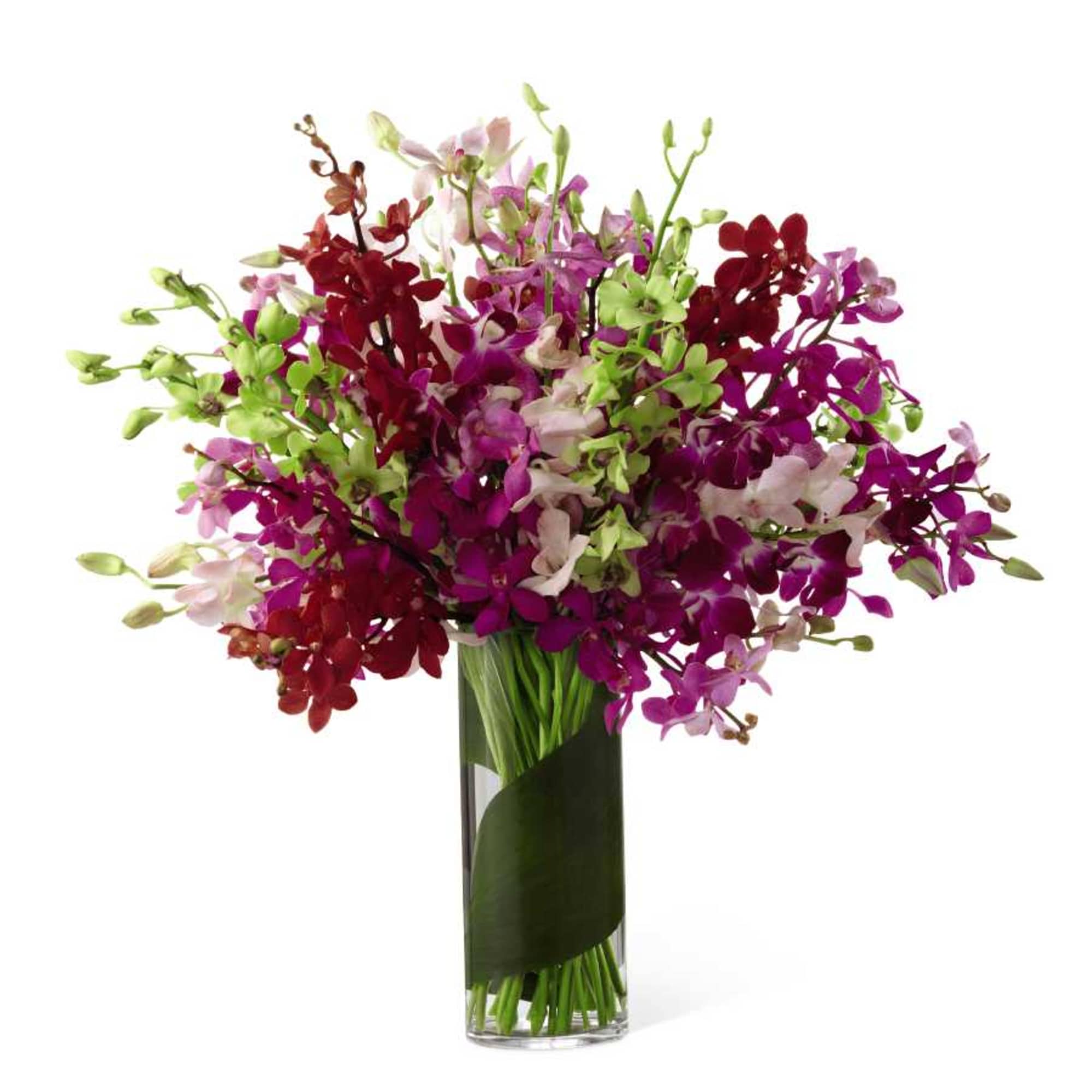 Bouquet of colorful orchids in a tall glass vase
