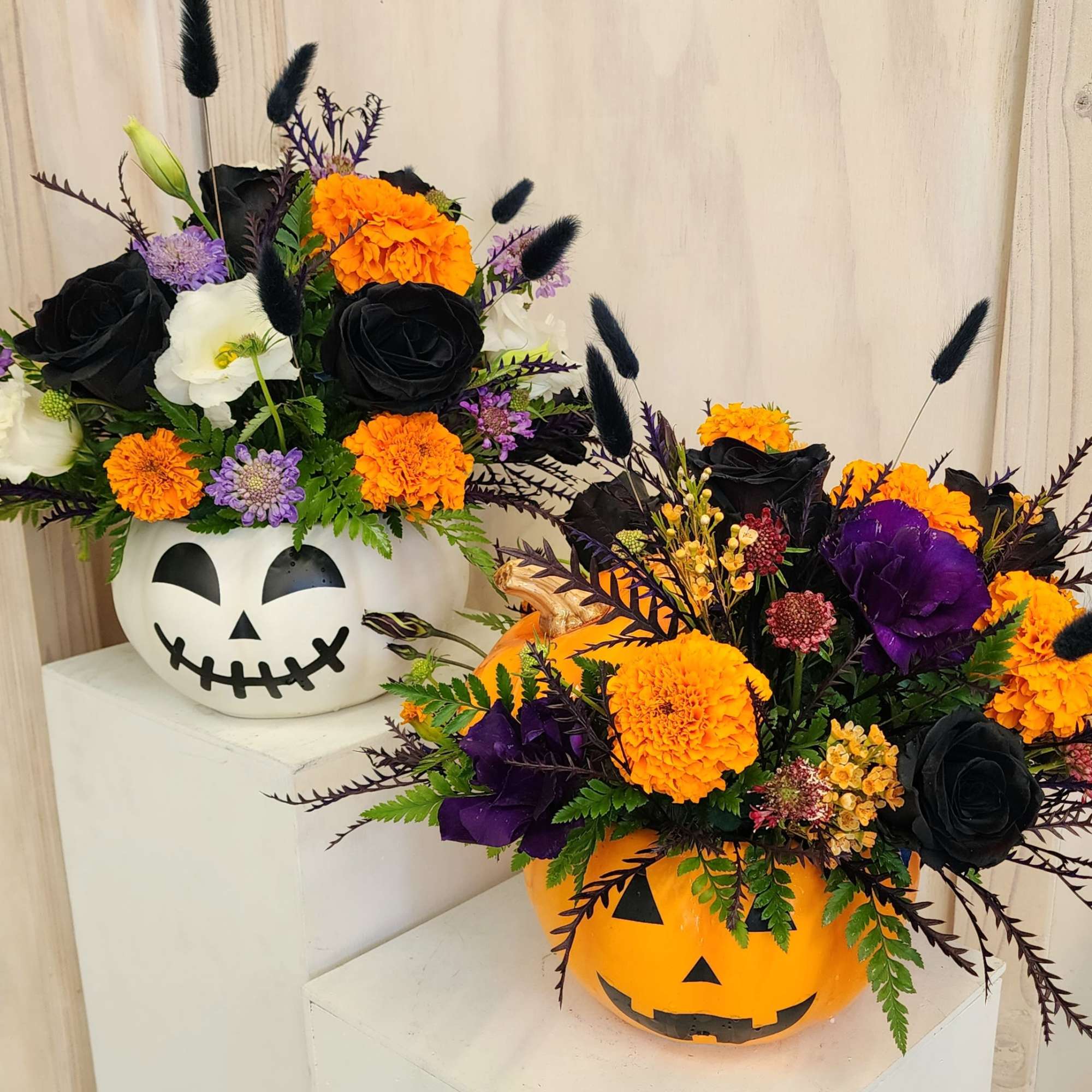 Halloween pumpkin containers filled with black, orange, purple, and white flowers