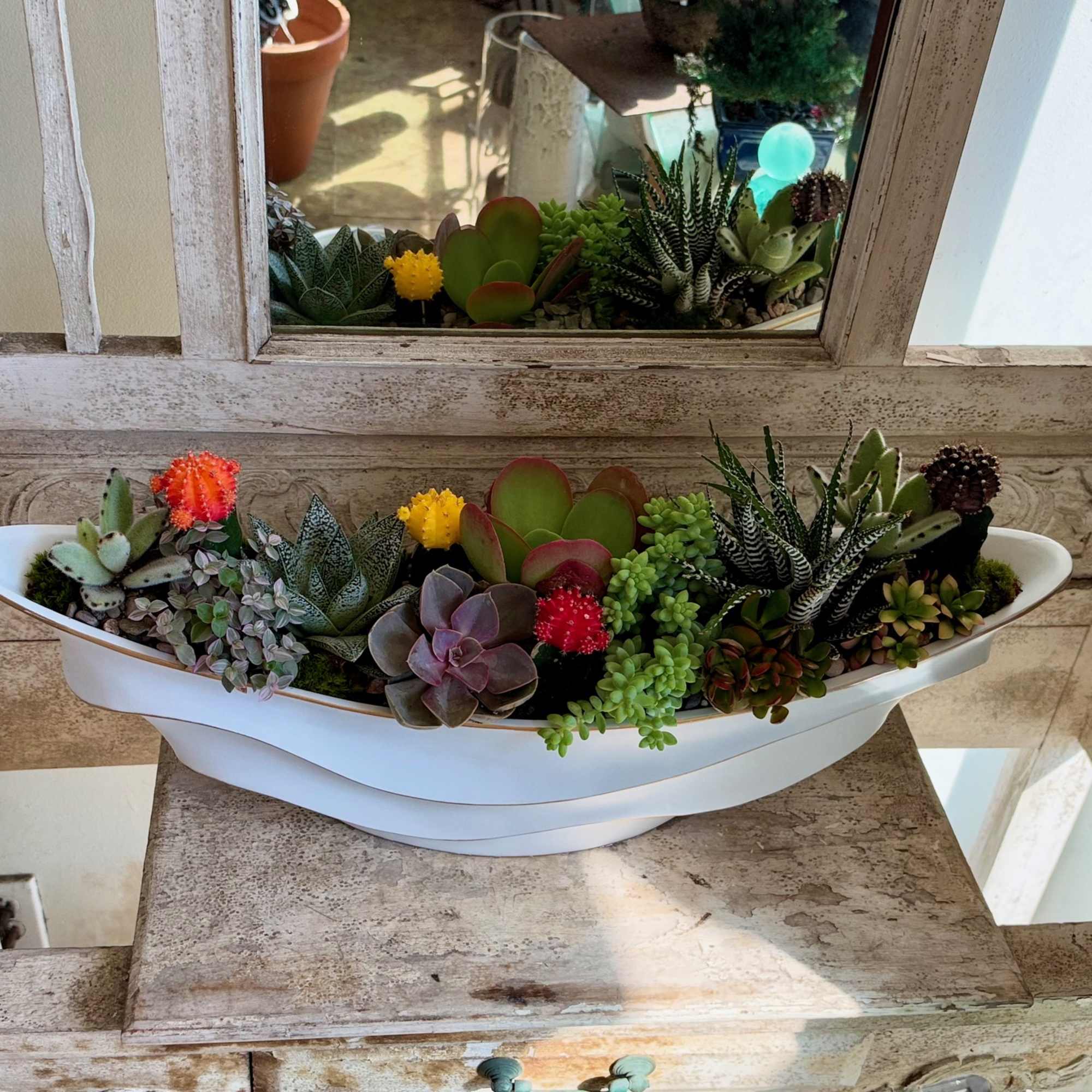 Succulent arrangement in a white boat-shaped planter on a rustic shelf