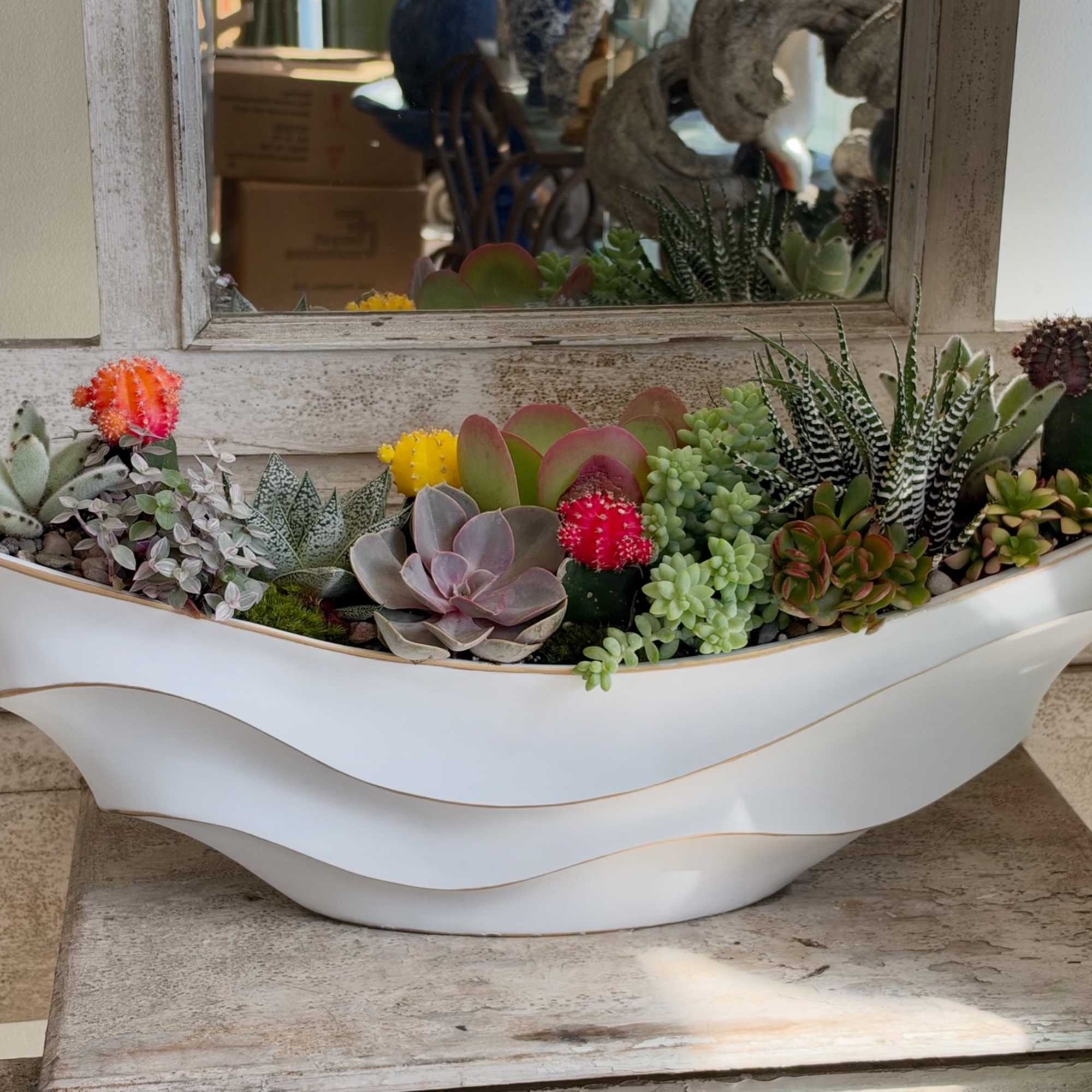 Succulent arrangement in a white boat-shaped planter