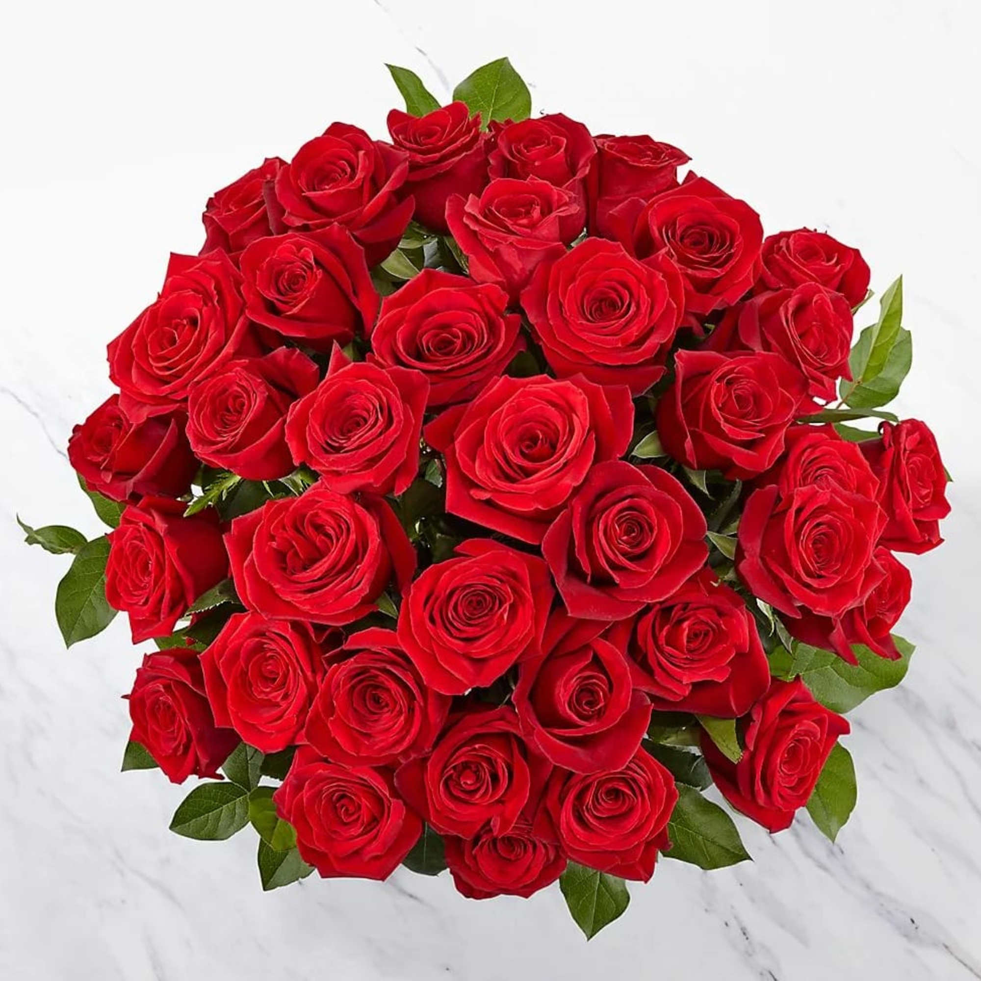 Bouquet of red roses with green foliage on a white surface